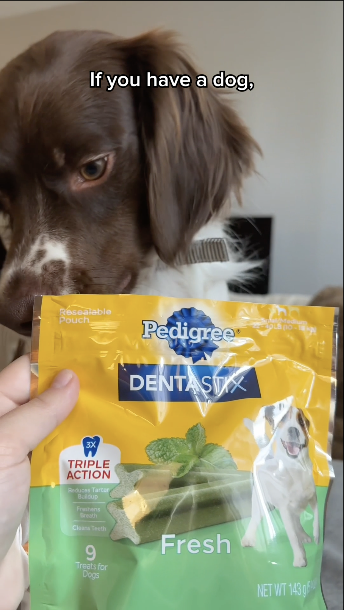 Pet Sample