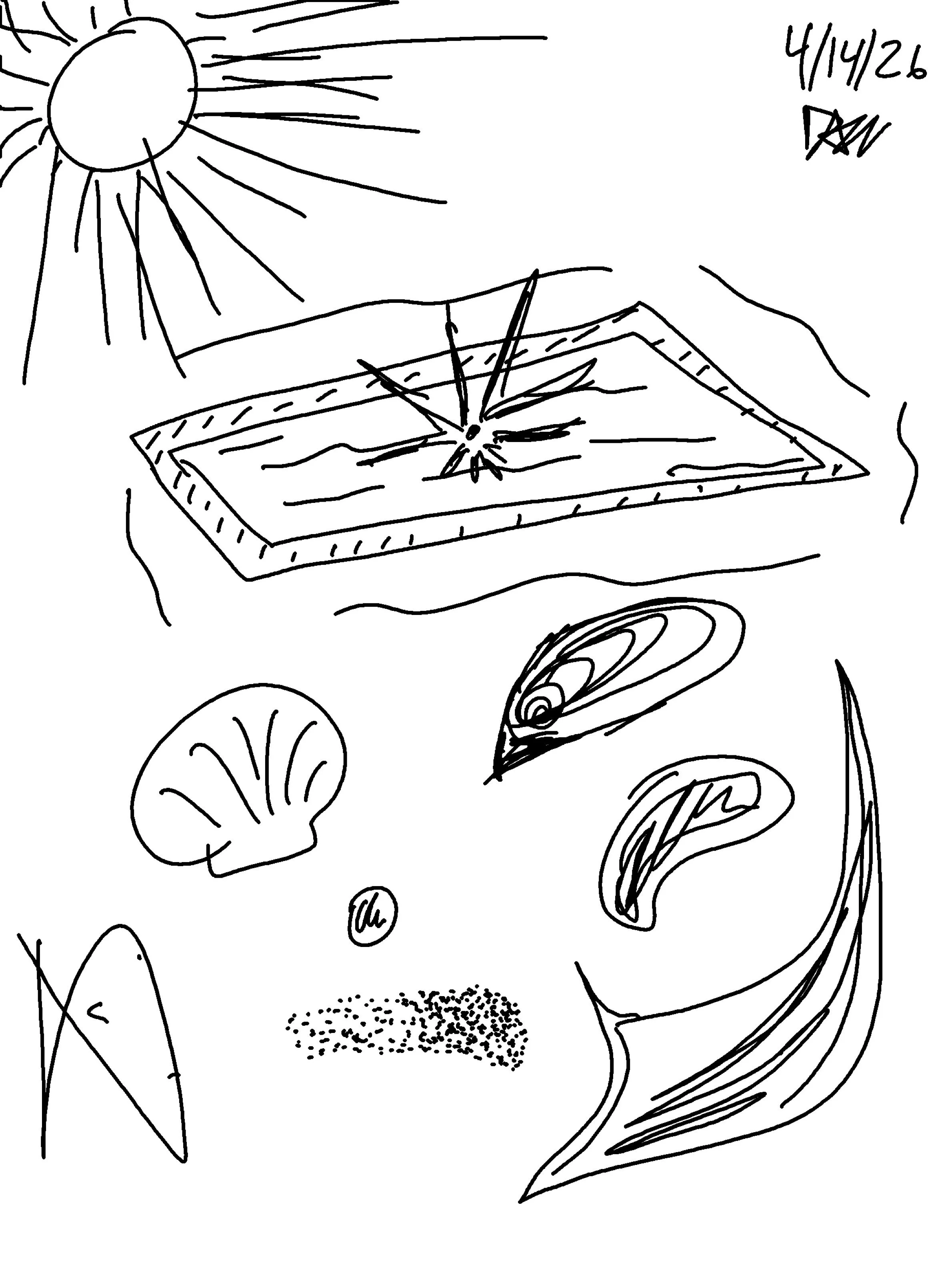 sun pool and shells.jpeg