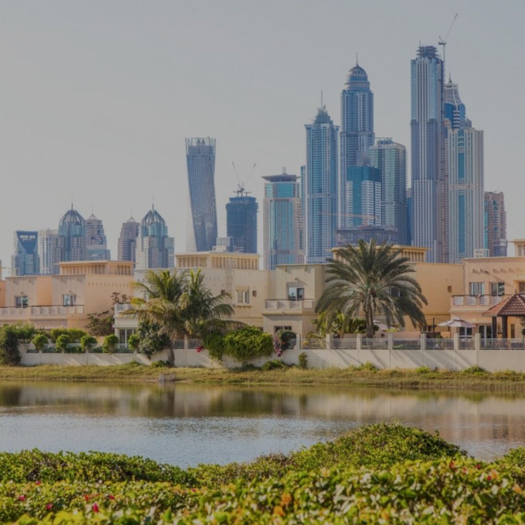View of a city skyline with tall modern skyscrapers behind palm trees and residential houses near a body of water