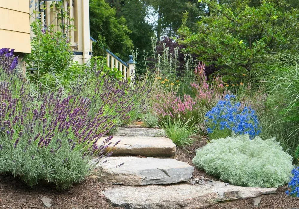 garden design in dubai