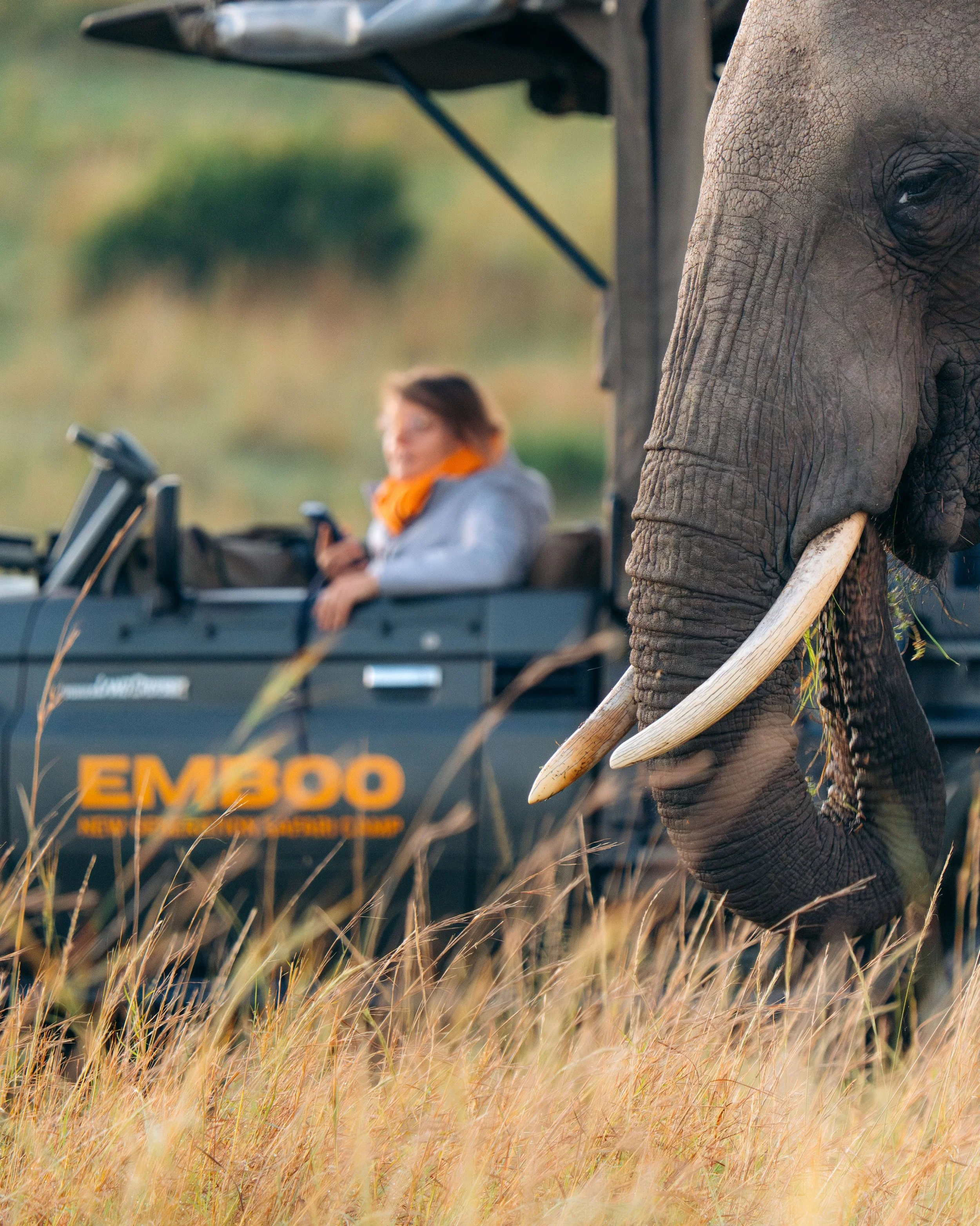 Emboo Safari Adventure.jpg