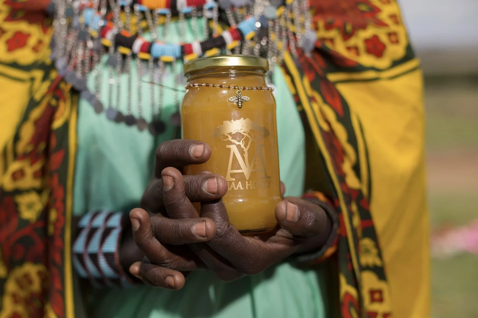 Screenshot 2026-01-08 155650.jpg