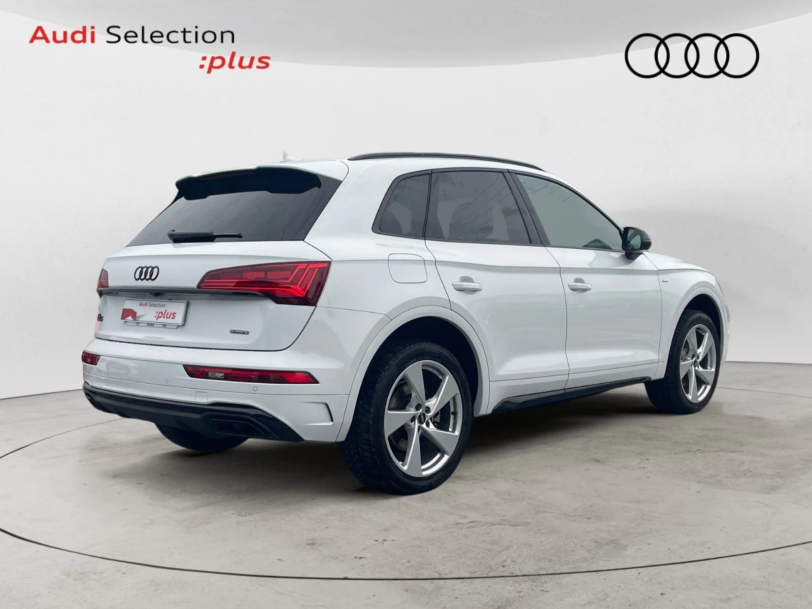 WhatsApp Image 2025-11-28 at 10.24.09.jpeg