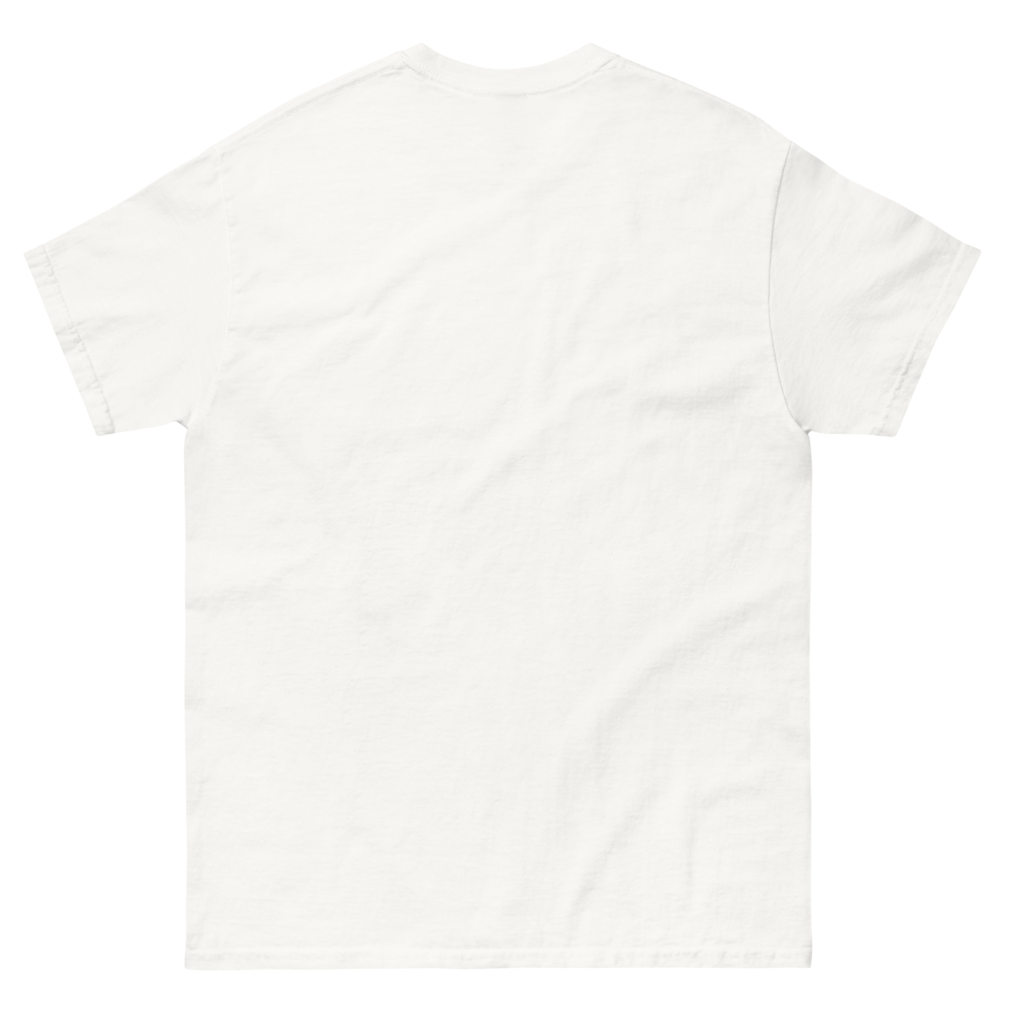 unisex-classic-tee-white-back-69d7b1f21f78d.png