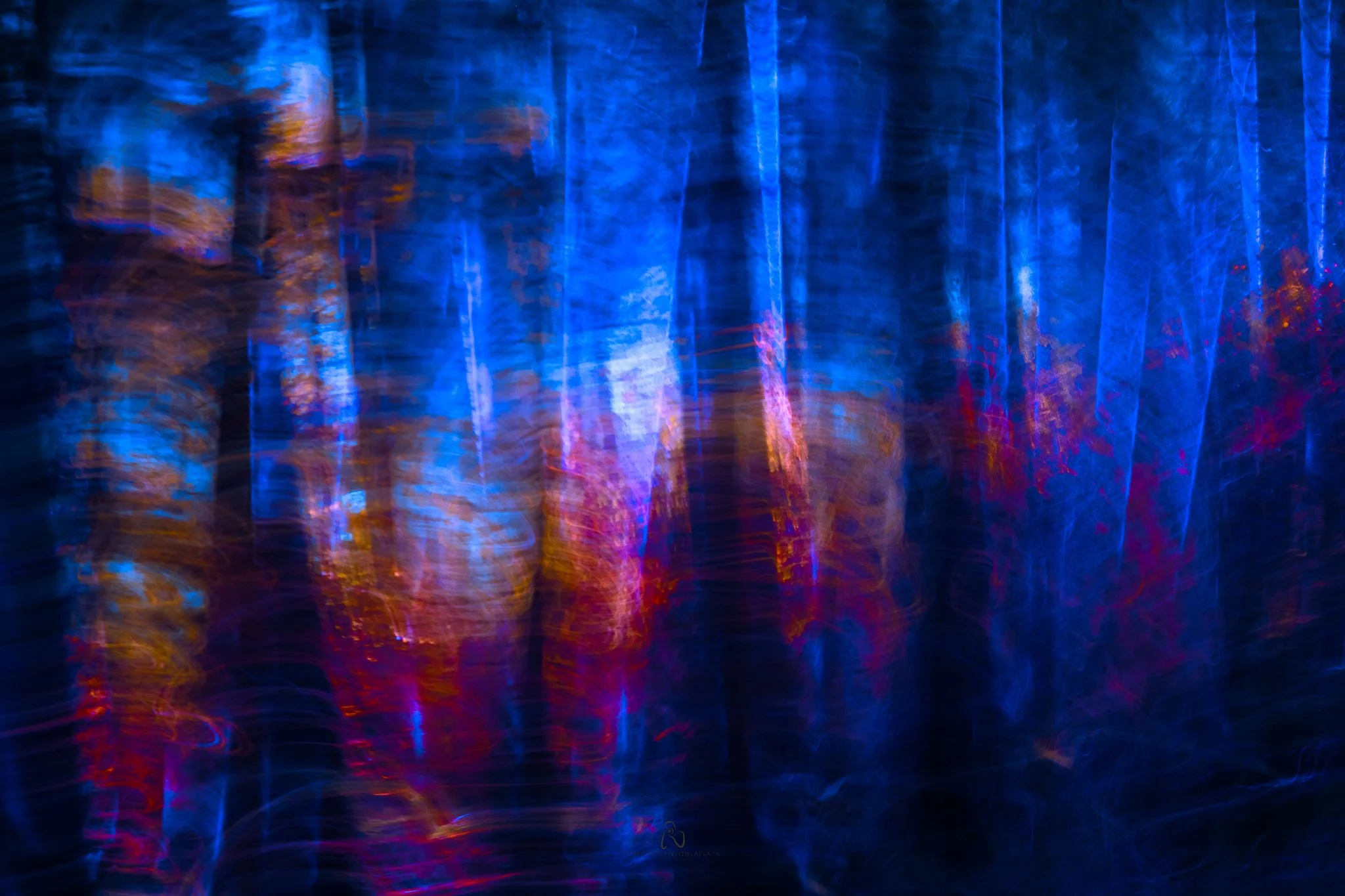 DSCF8193.jpg