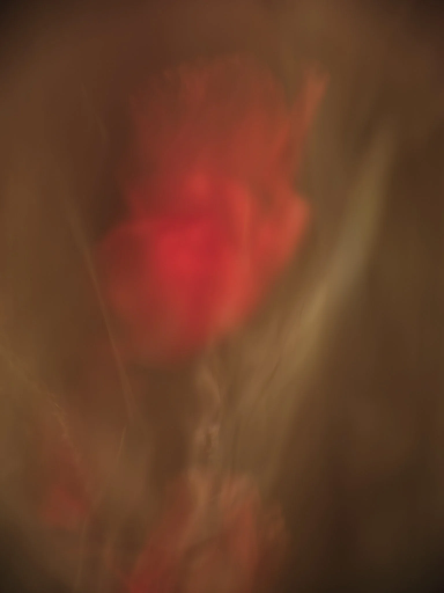 DSCF8207.jpg