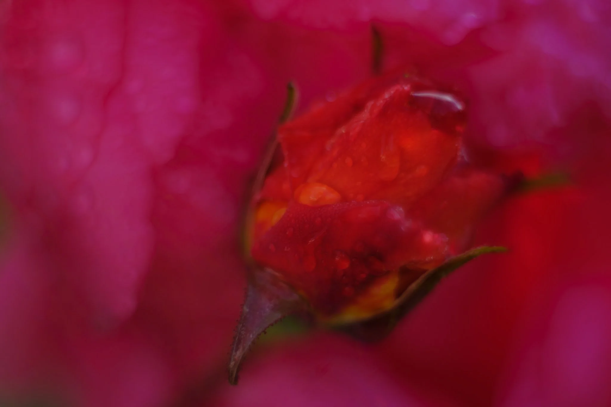 Dualität, der Ursprung. Wo die Spannung beginnt.