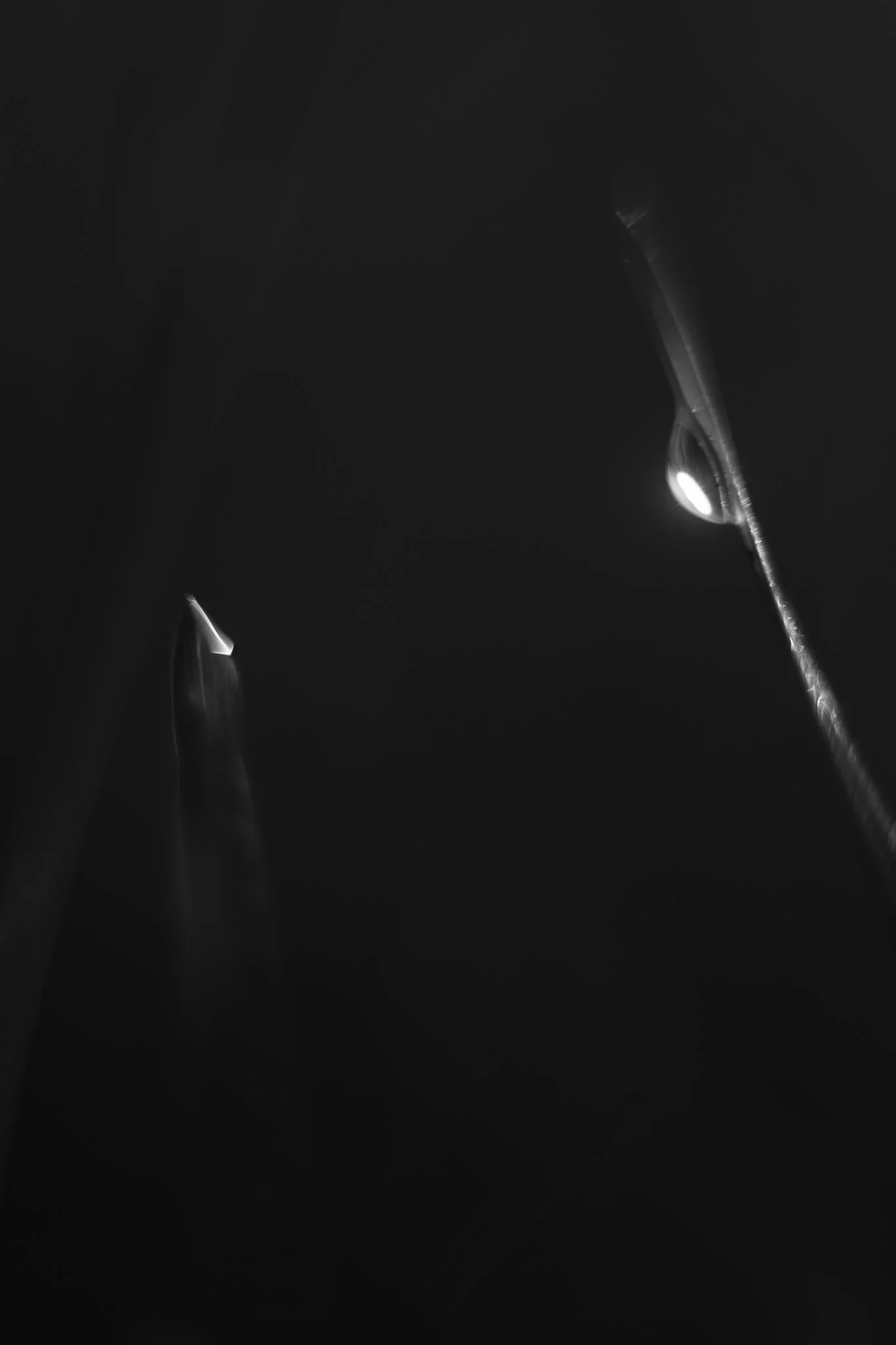 DSCF7266.jpg