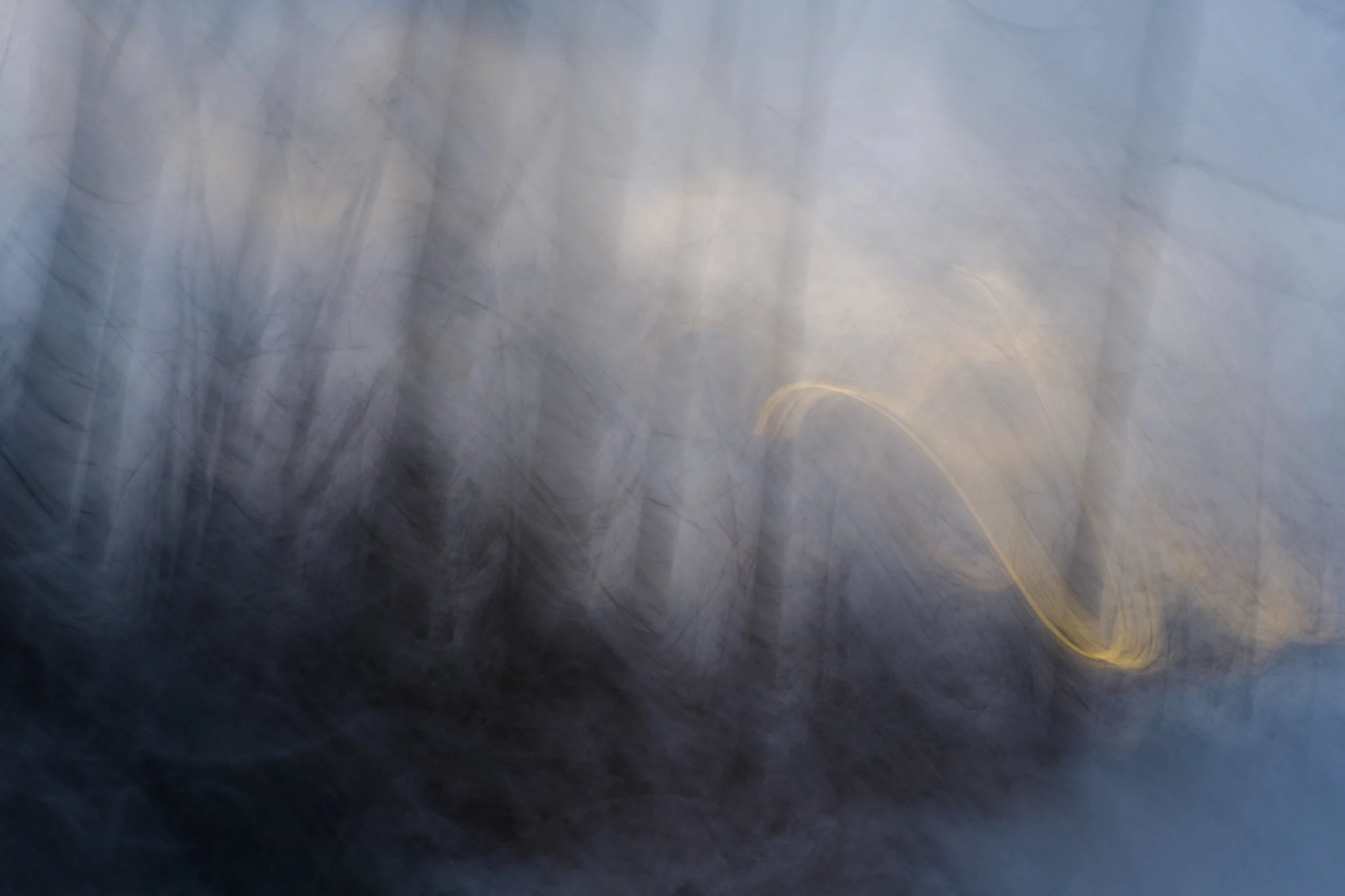 Dunkler Wald mit Lichtspur