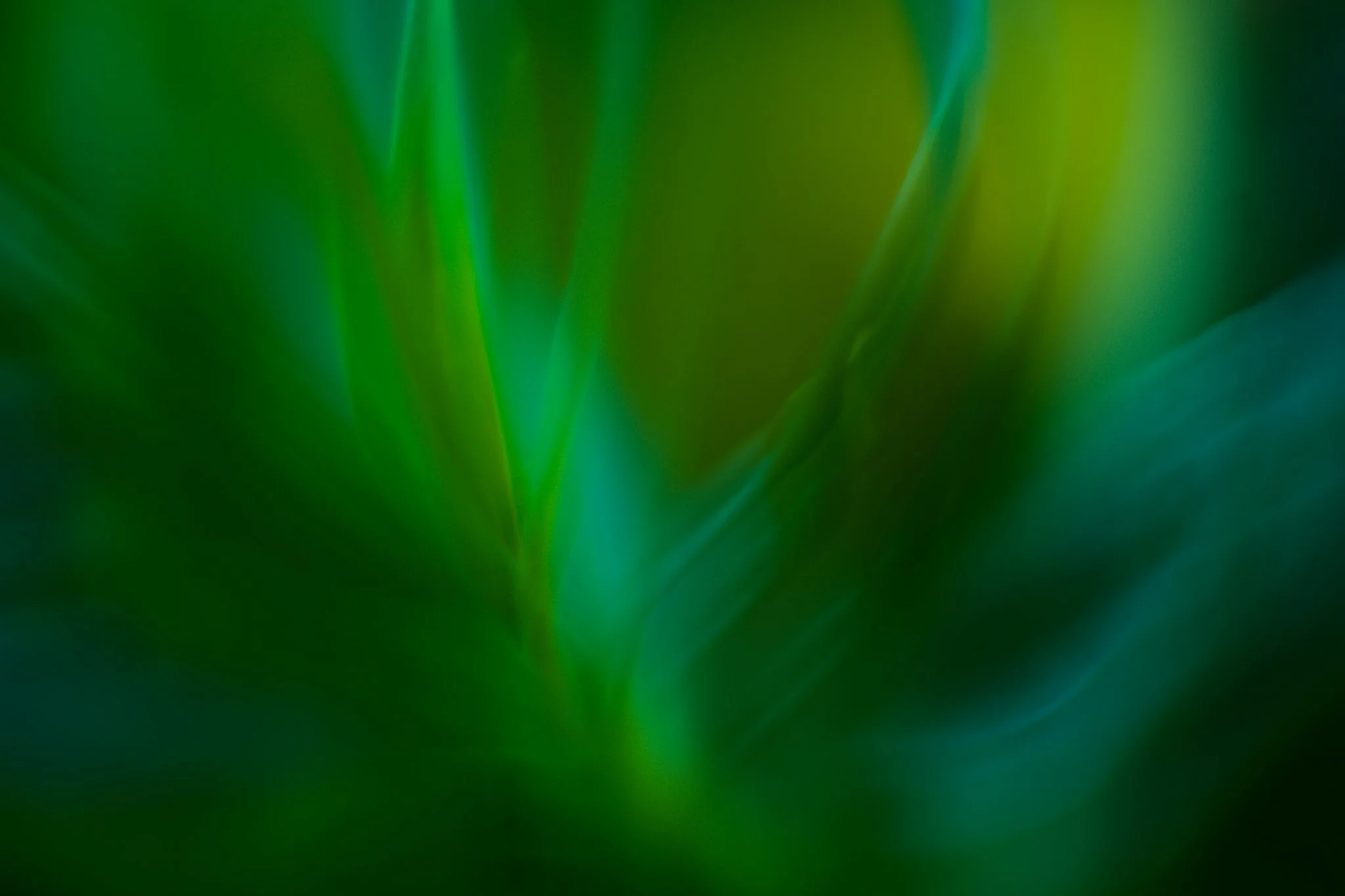 20240708-L1040033.jpg