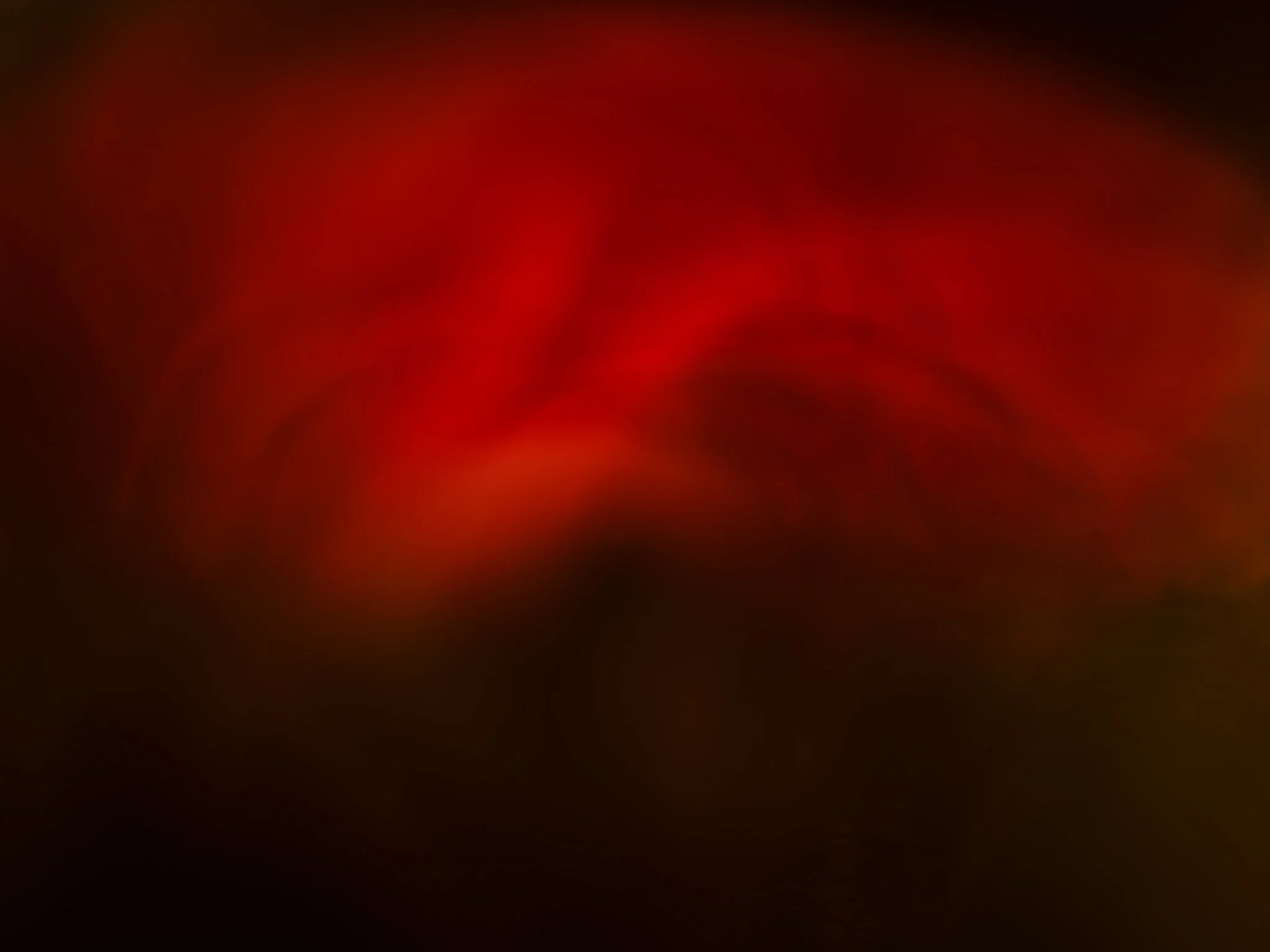 DSCF8110.jpg