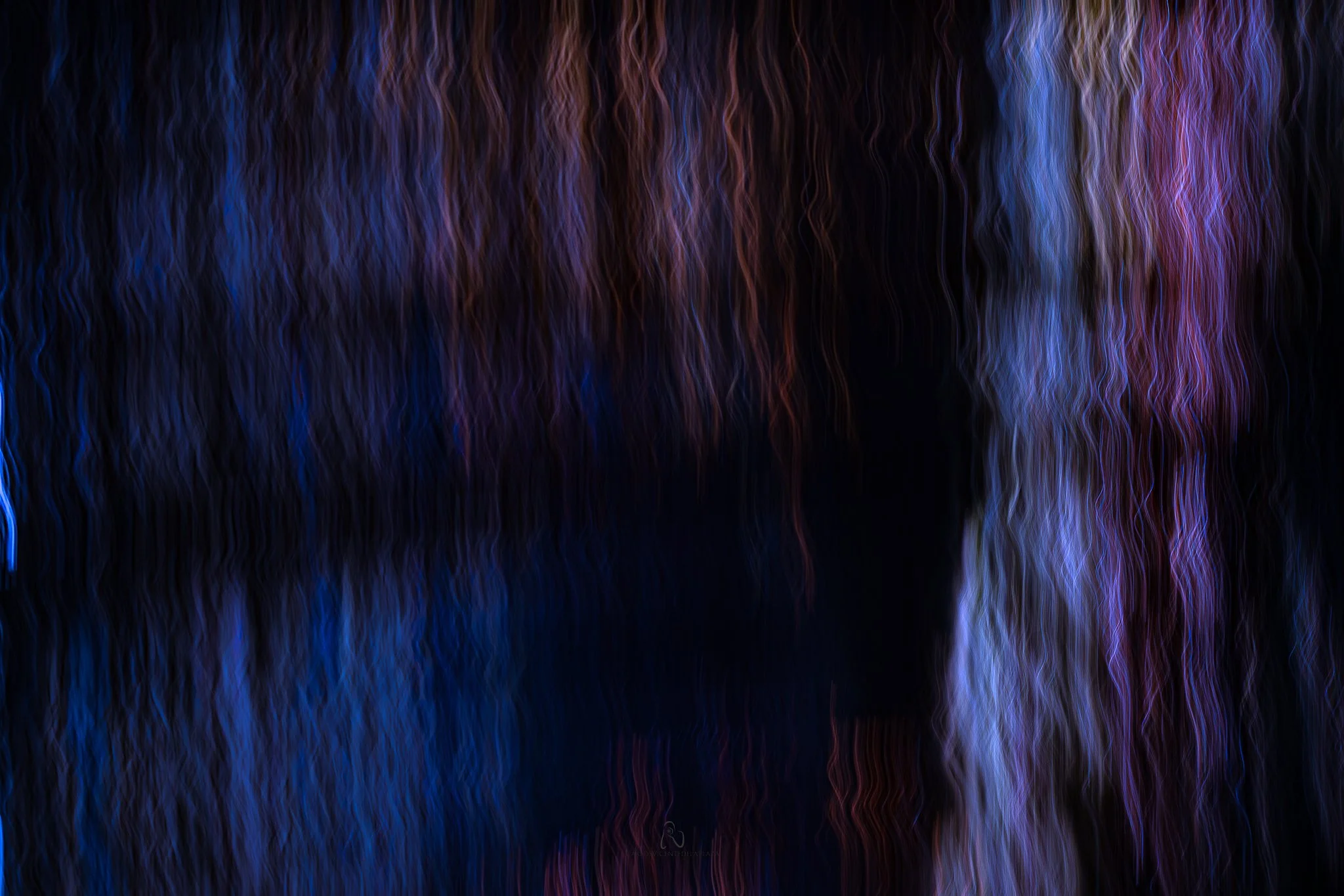 DSCF8229.jpg