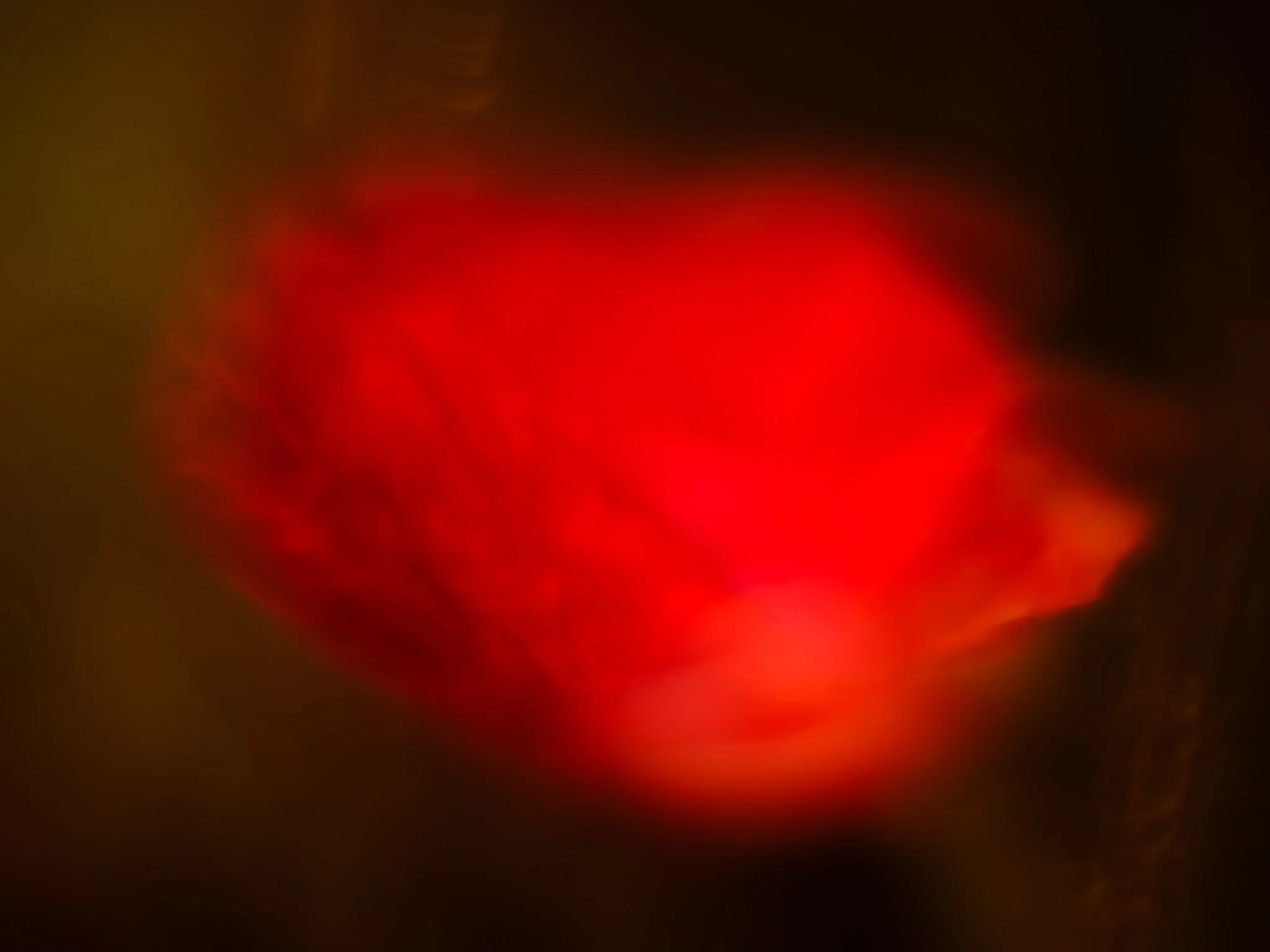 DSCF8107.jpg