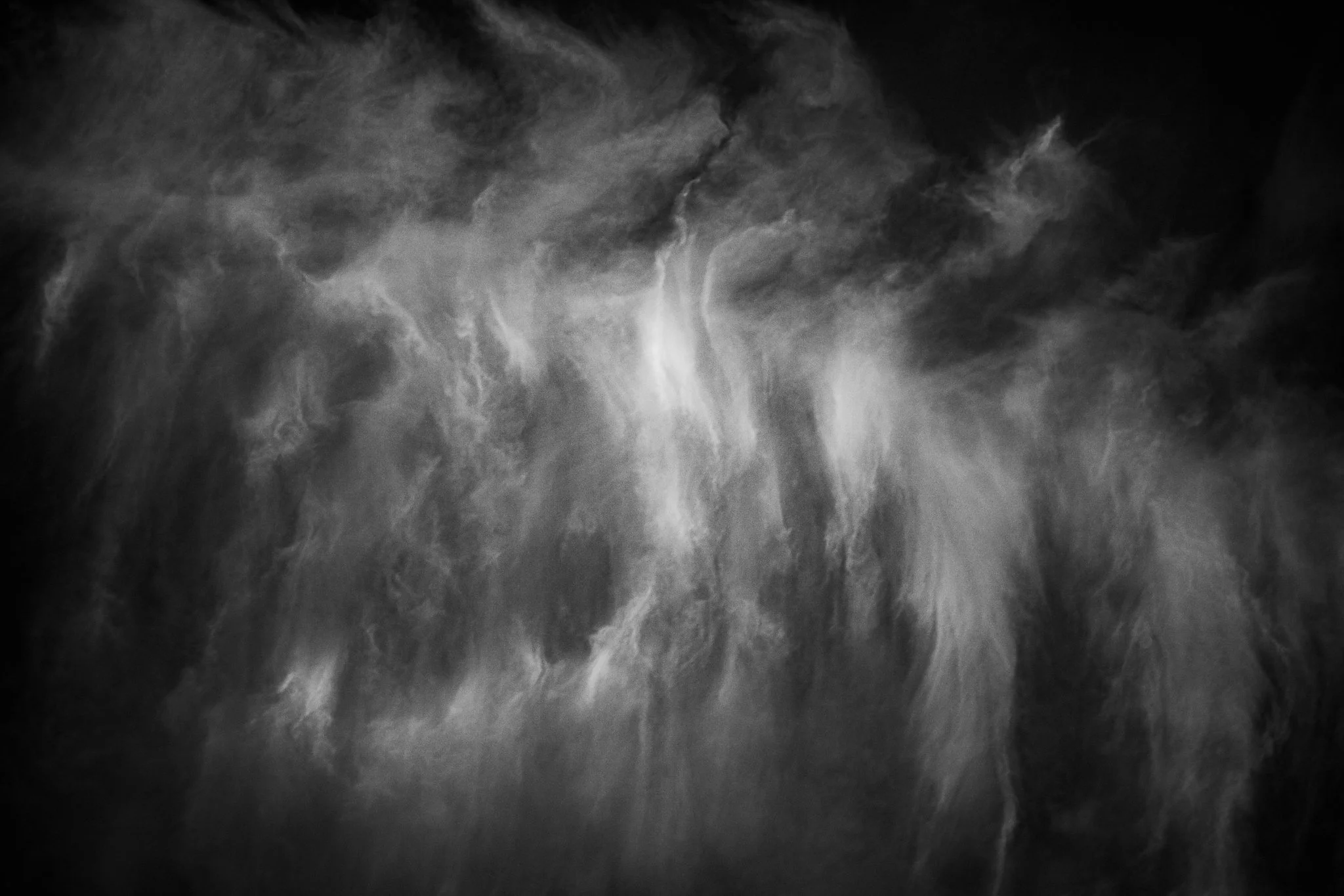 20240725-L1050039.jpg