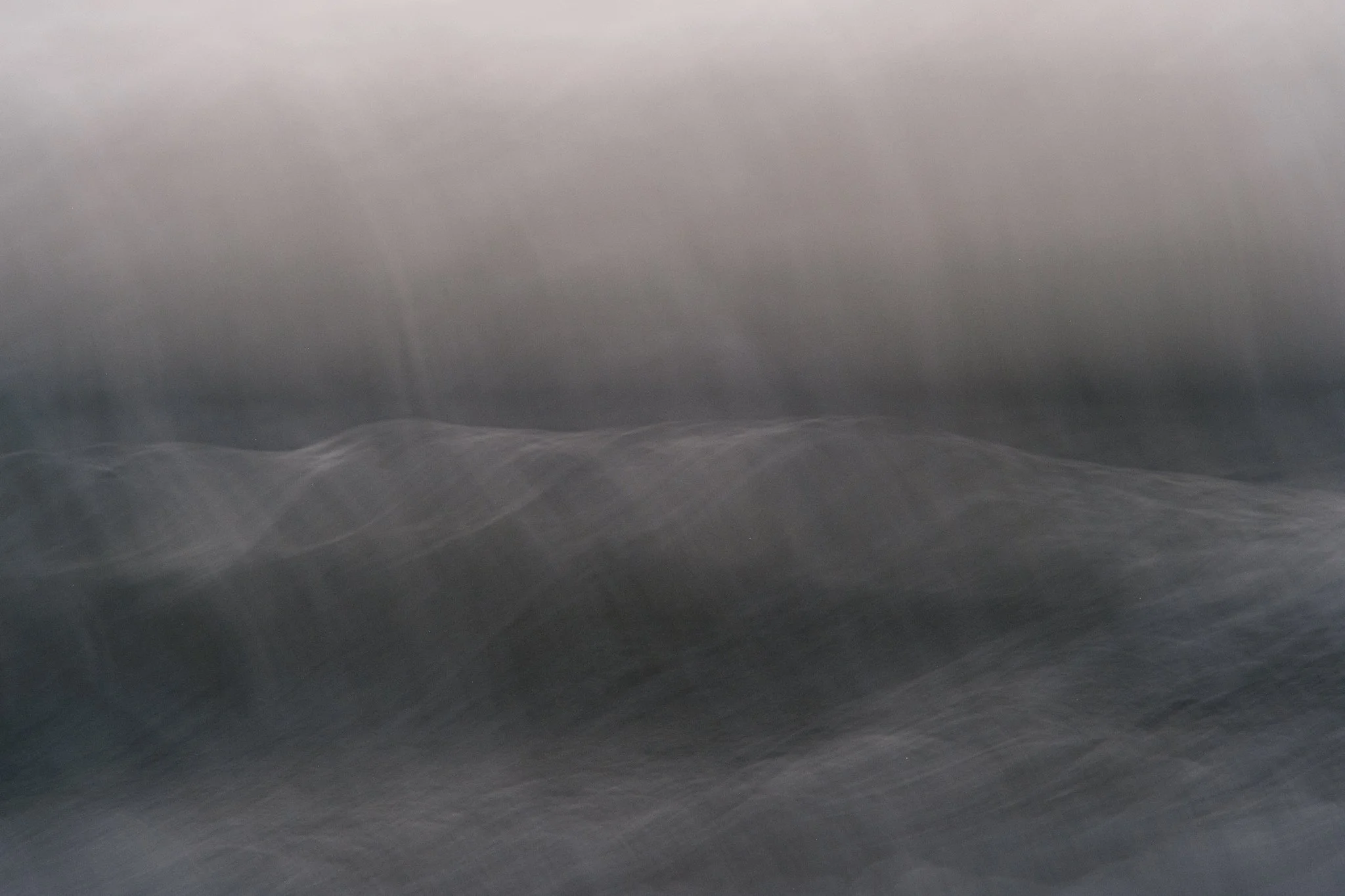 DSCF8594.jpg