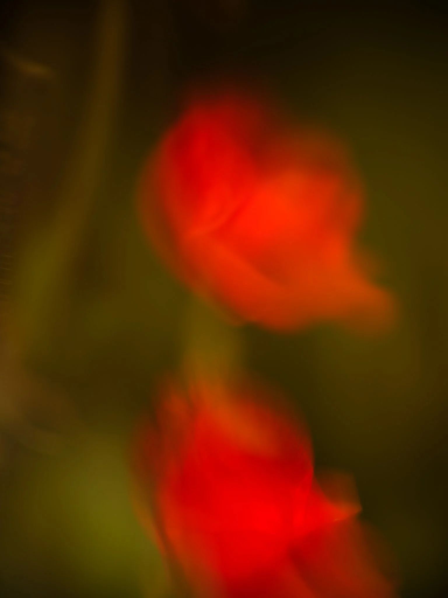 DSCF8220.jpg
