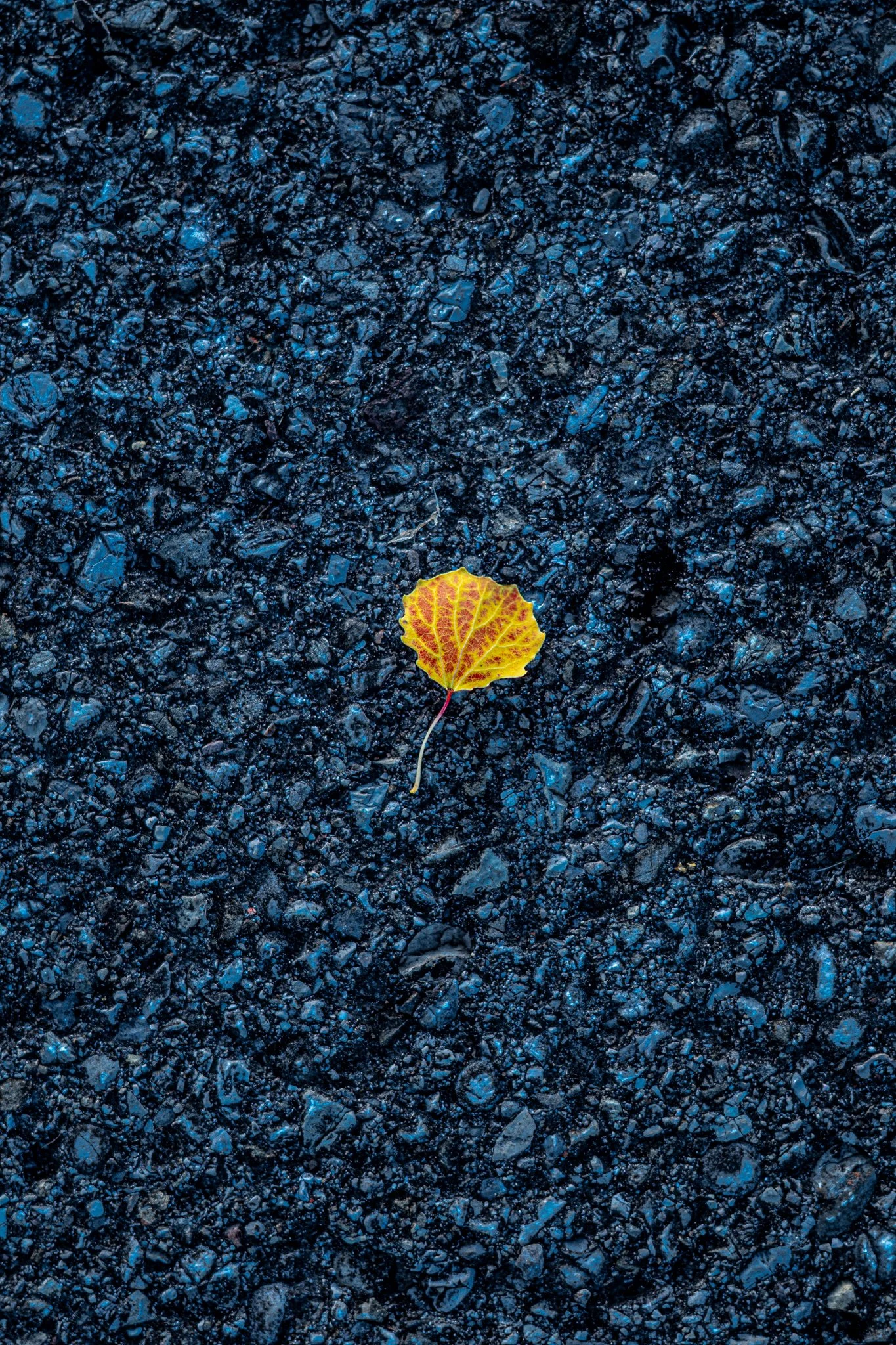 Seingrafie Fotoseminar