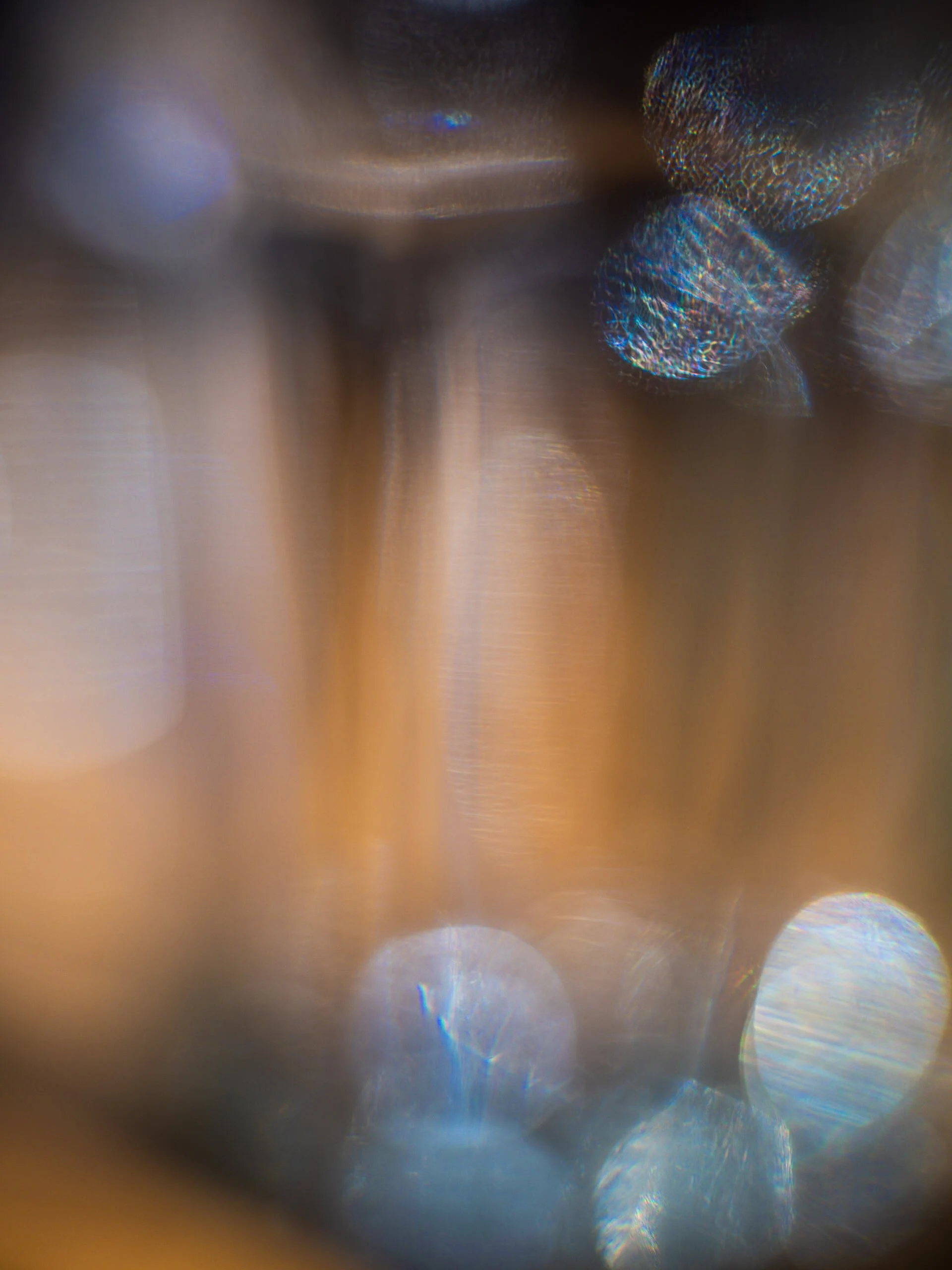 DSCF4819.jpg