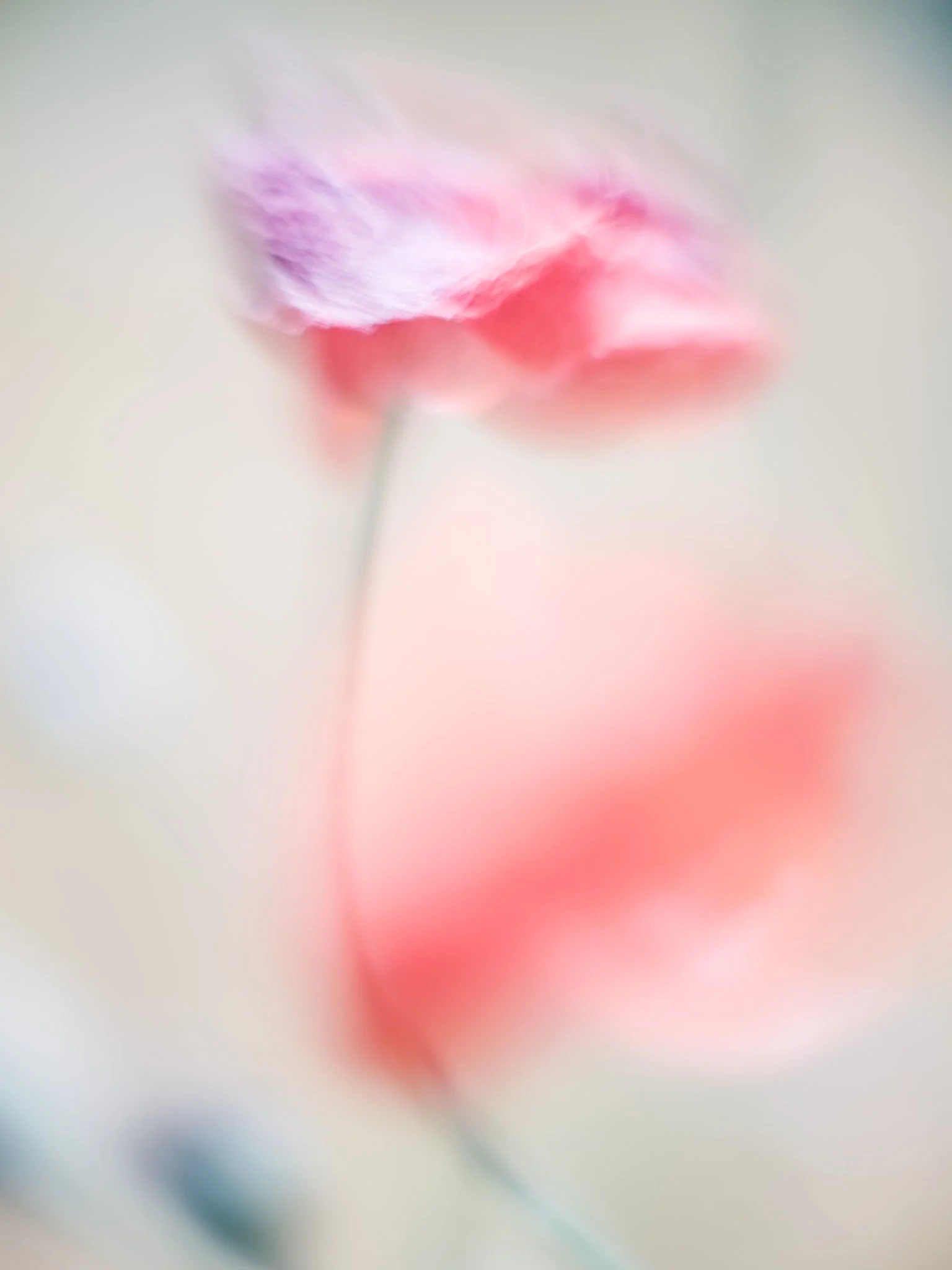 DSCF8839-2.jpg