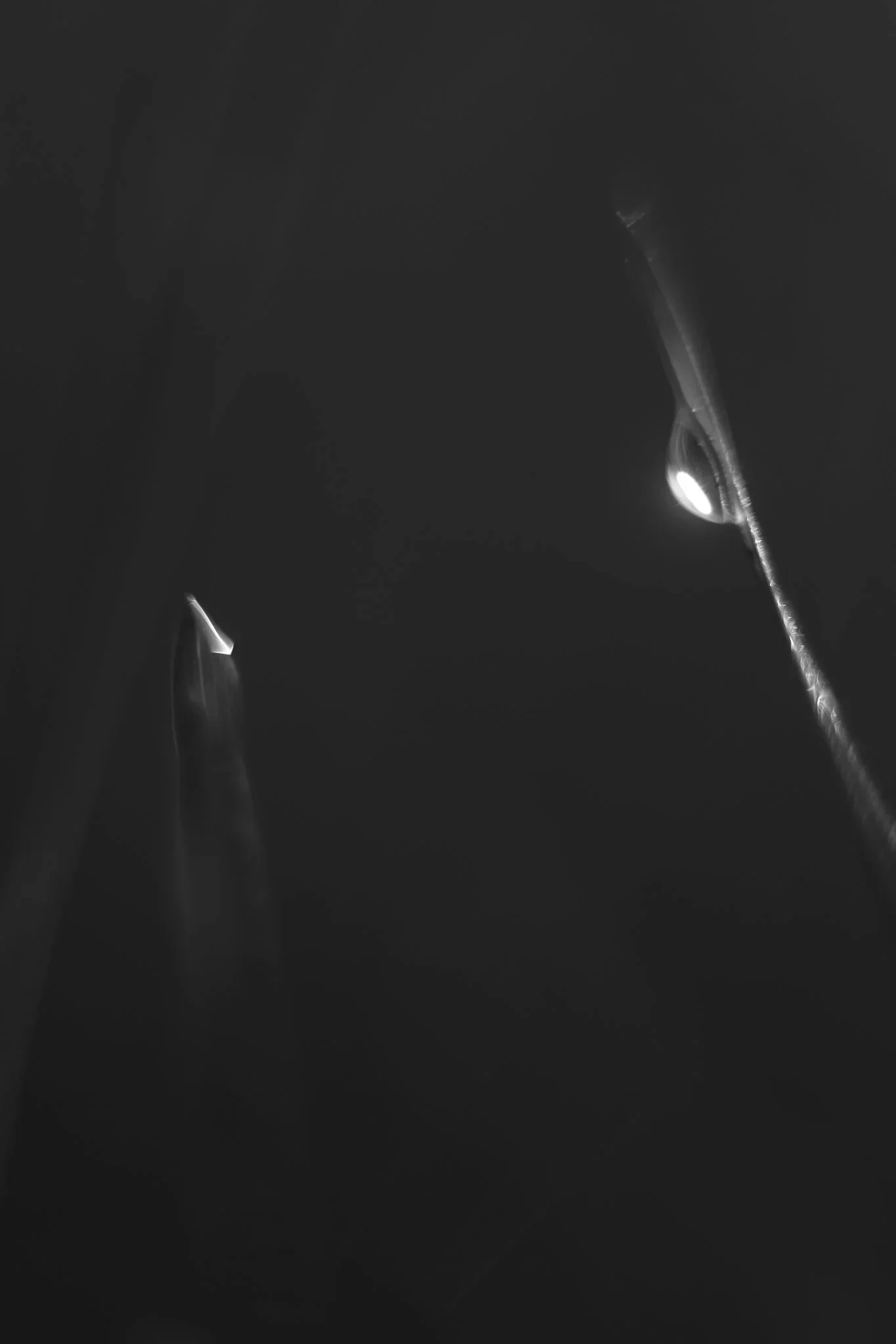 DSCF7266.jpg