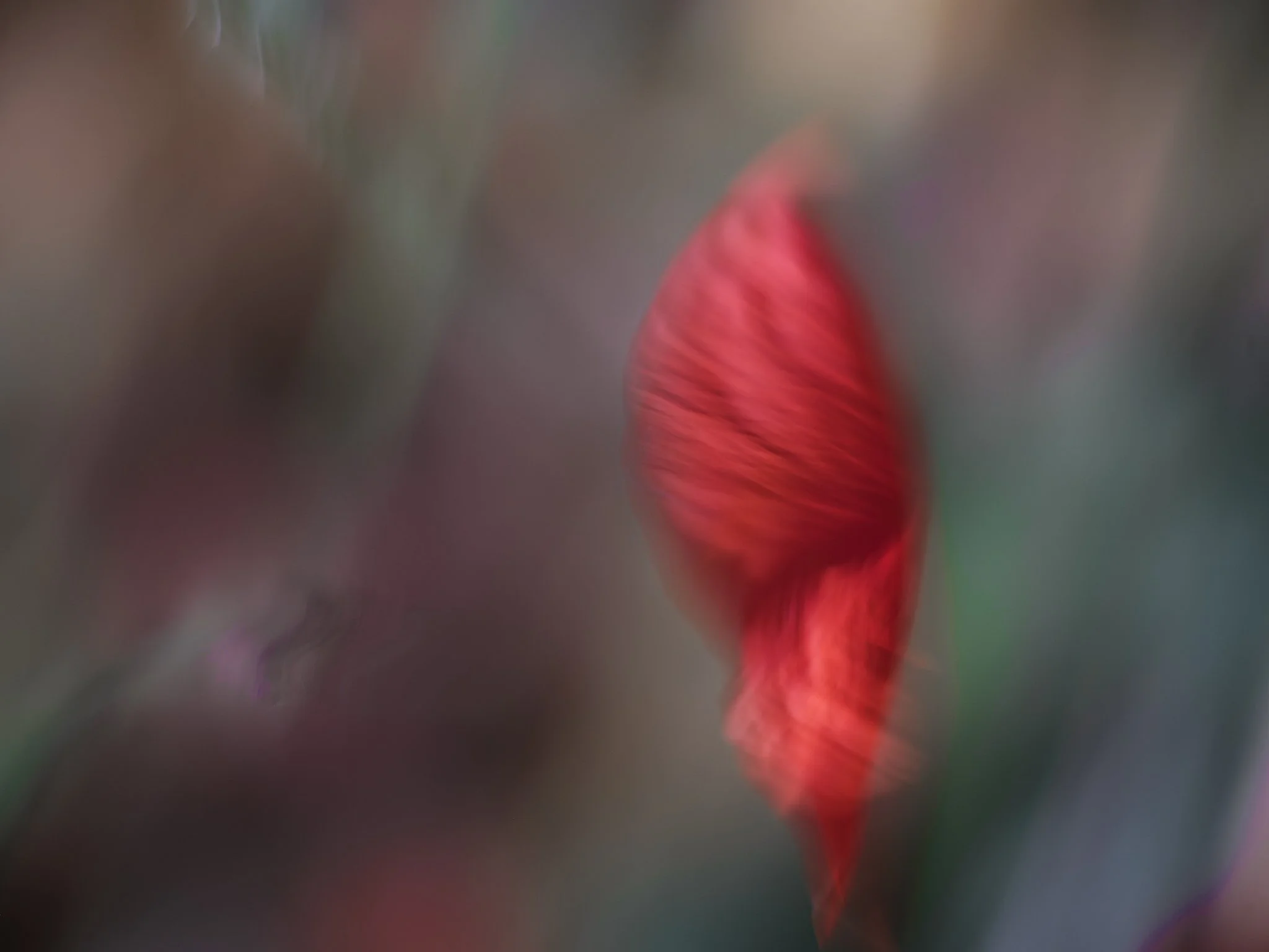 DSCF8859-2.jpg (Kopie)
