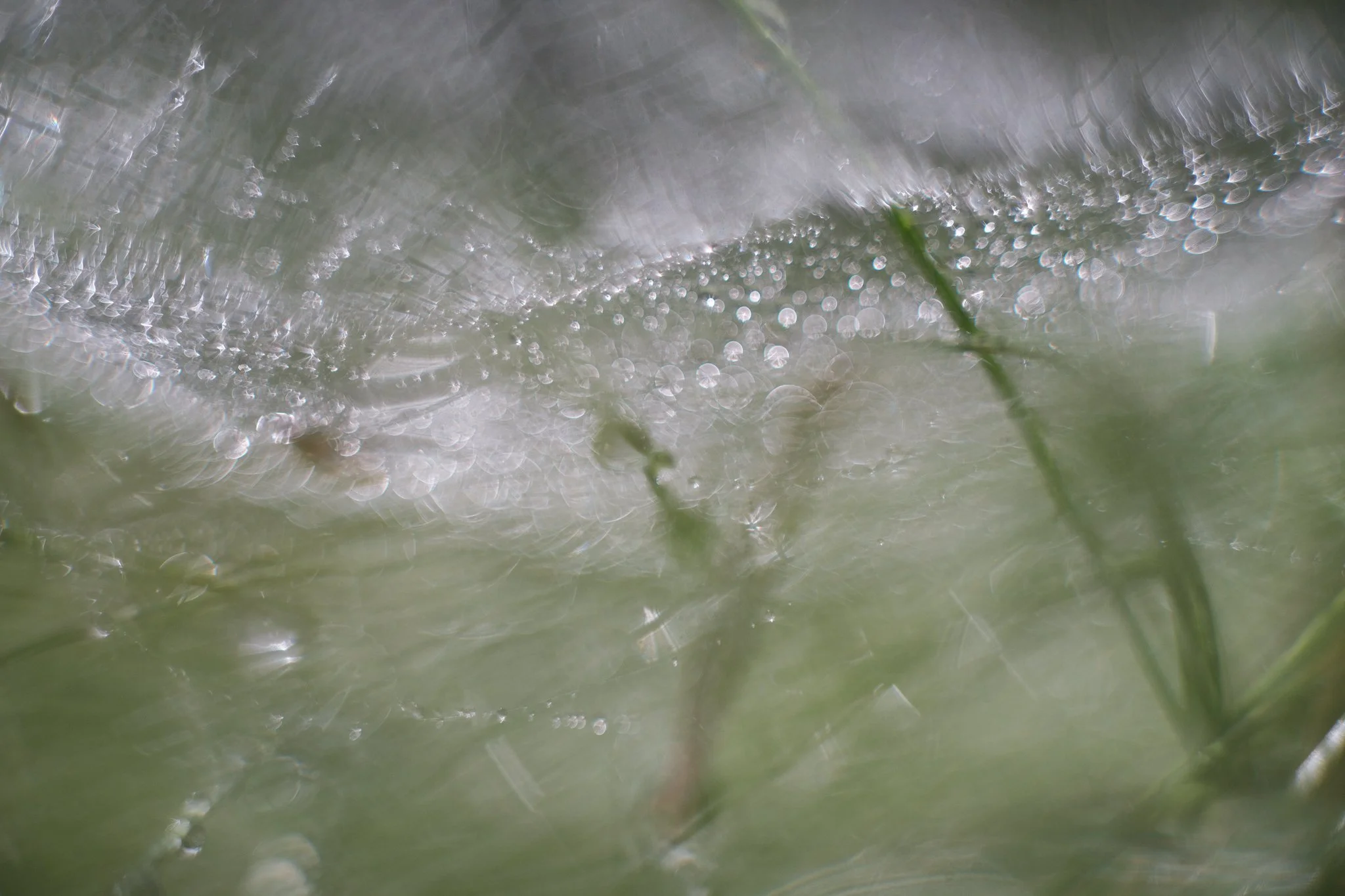 DSCF7138.jpg