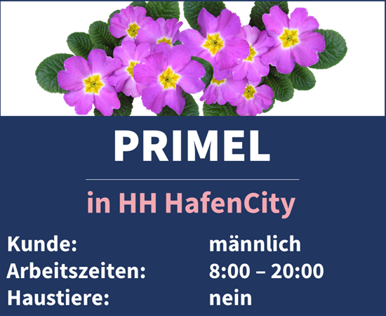 Unser Team Primel in der Hamburg HafenCity sucht Verstärkung