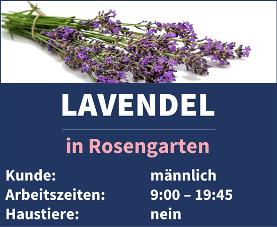 Unser Team Lavendel in Rosengarten