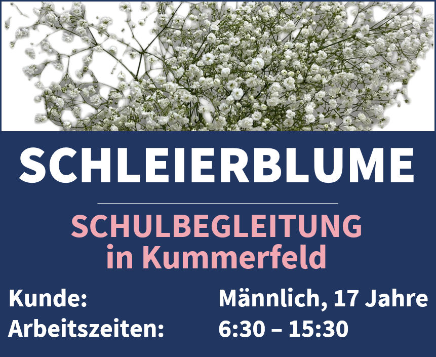 Schulbegleitung gesucht für unser Team Schleierblume in Kummerfeld