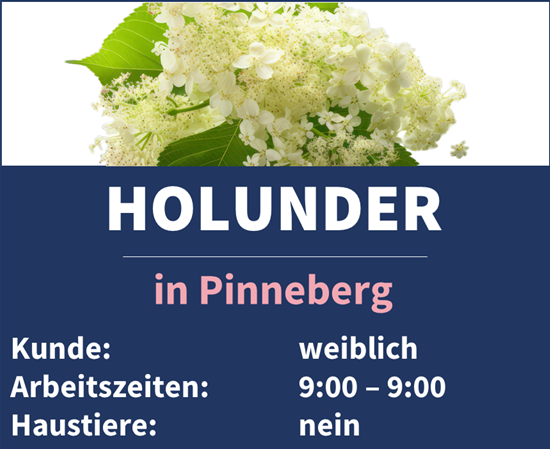 Unser Team Holunder in Pinneberg benötigt eine neue Assistenzkraft