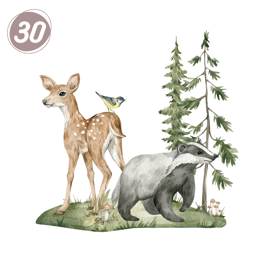 30. Herra Mäyrä & ystävät