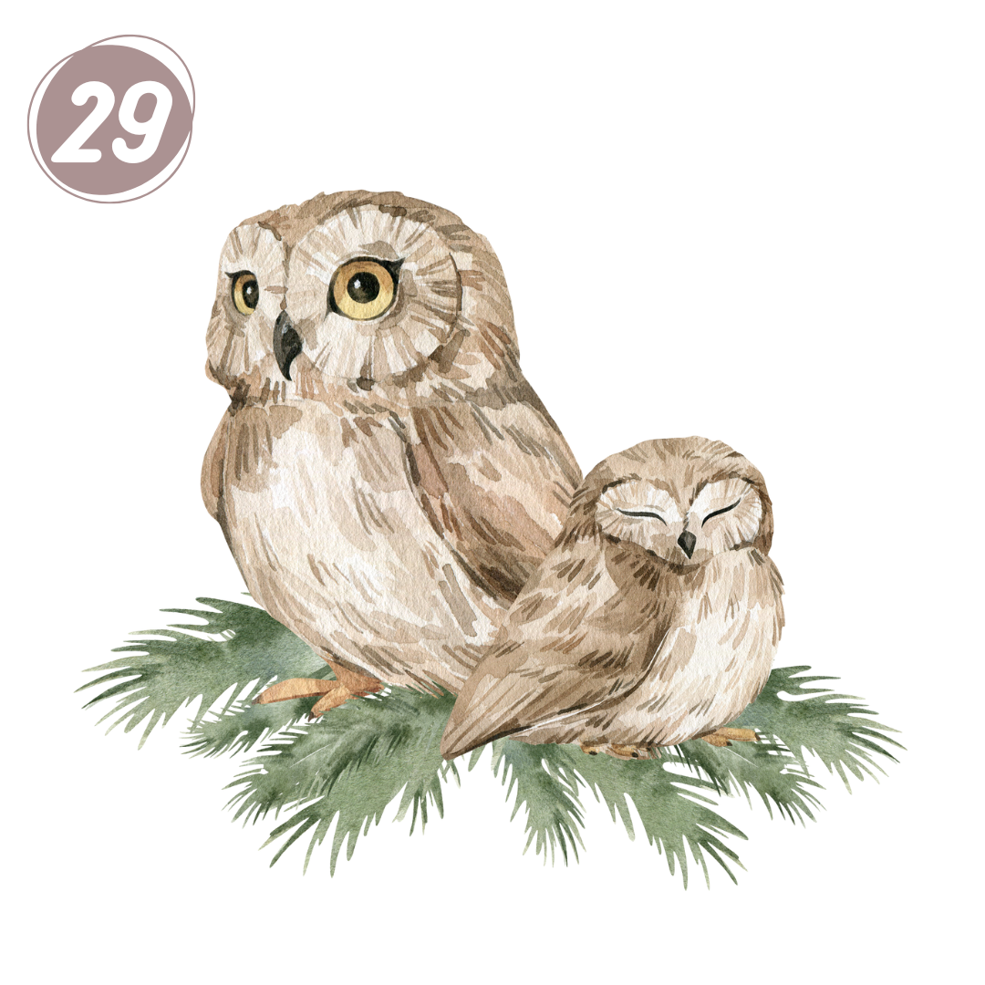 29. Pikkipöllöt