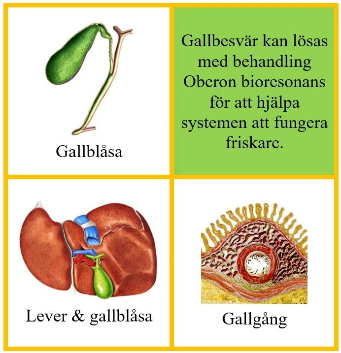 Gallbesvär (1).jpg