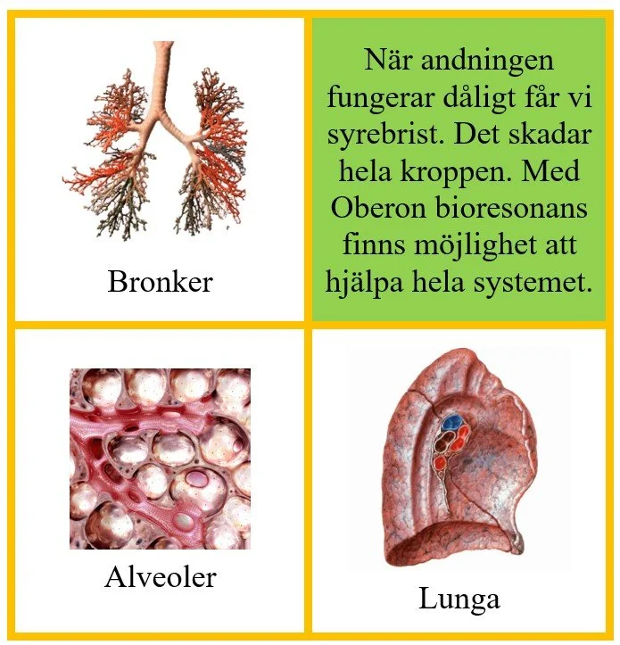Andning (1).jpg