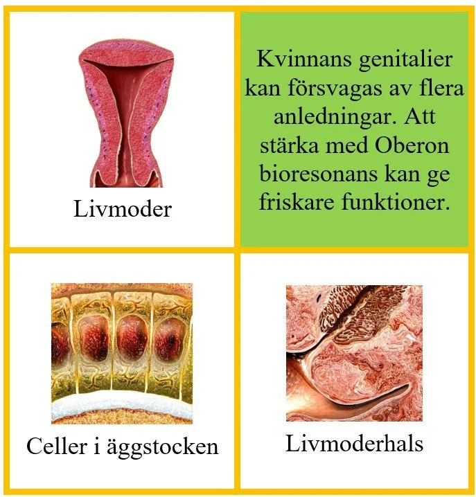 Kvinna (1).jpg