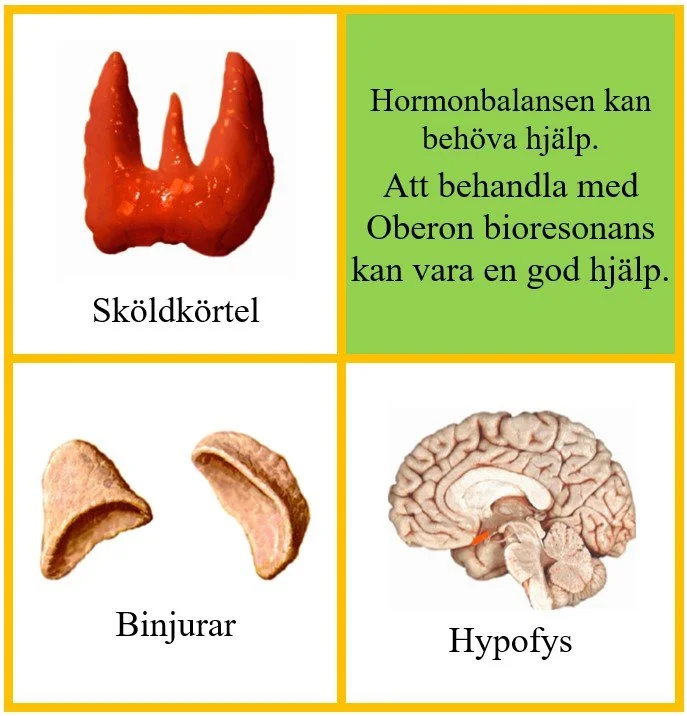 Hormonbalans (1).jpg