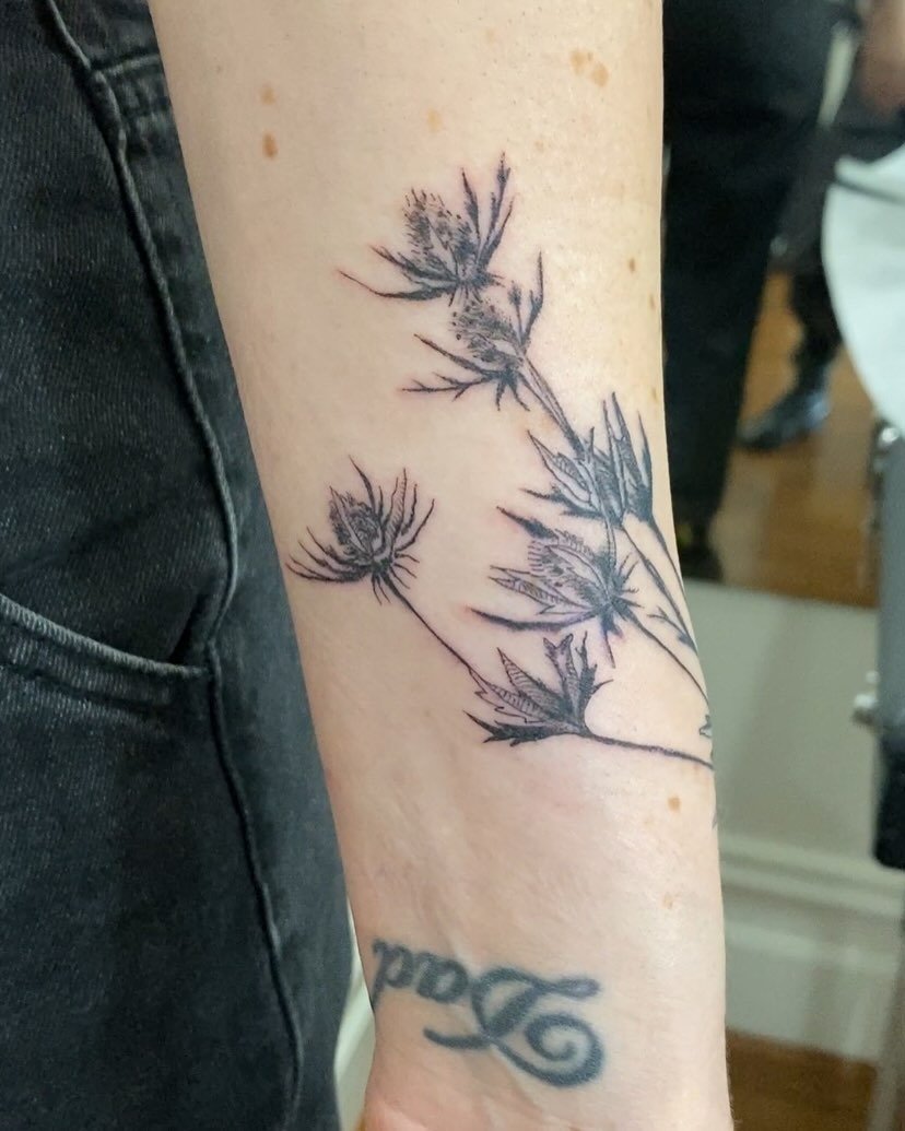 Thistle!
