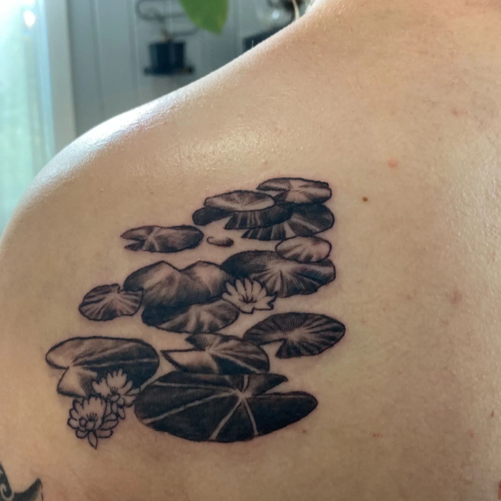 I&rsquo;ve done a few different iterations of this piece over the last few years and it turns out so differently every time. This is one of my favourite drawings to play around with because it&rsquo;s so adaptable and can easily be rearranged to flow