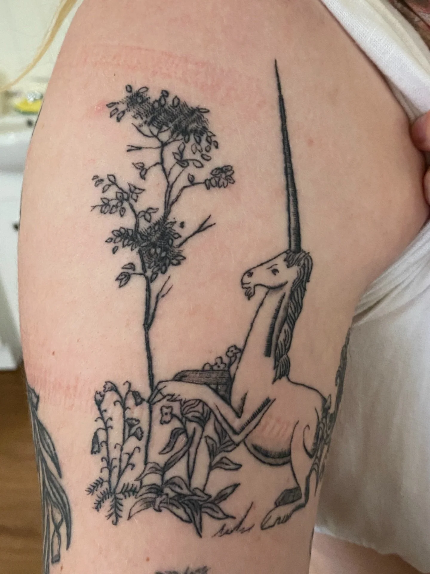 Healed unicorn 

#healedtattoo #unicorntattoo #fantasytattoo