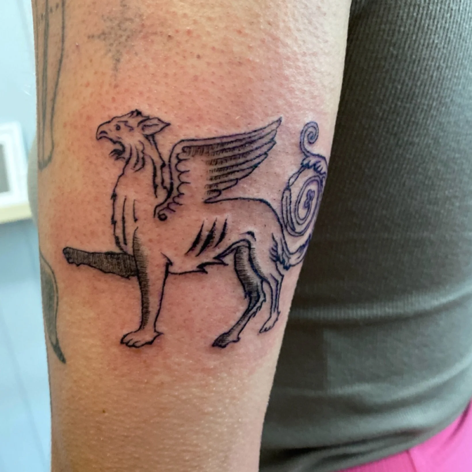 Griffin from a recent flash sheet!