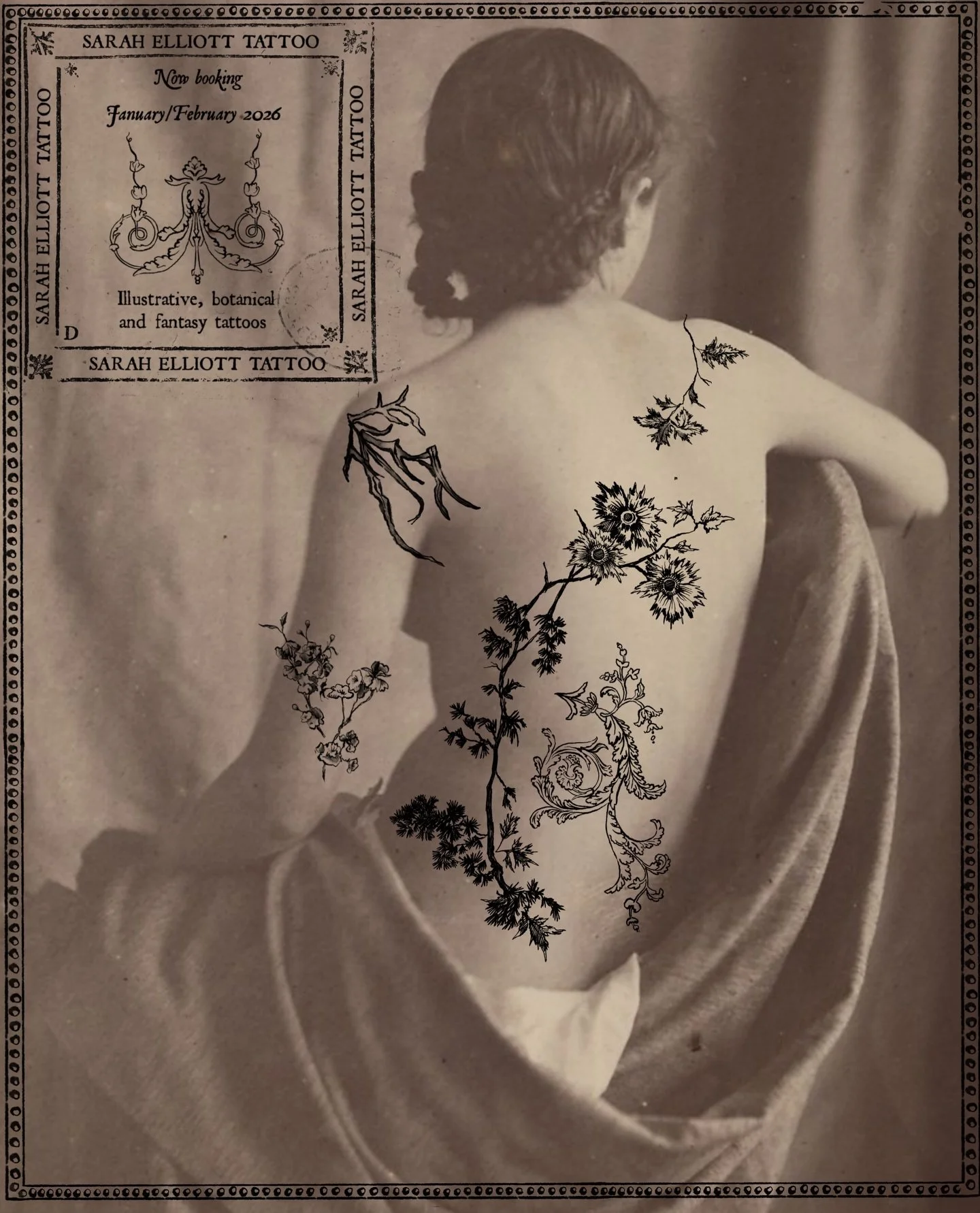 Back tattoo concept in an illustrative style 

#brisbanetattoo #botanicaltattoo #finelinetattoo