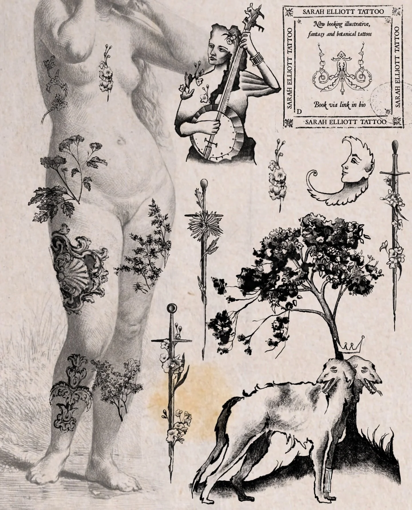 Some ideas for your next tattoo 🧚🏻&zwj;♂️

#brisbanetattoo #fantasytattoo #illustrativetattoo #finelinetattoo