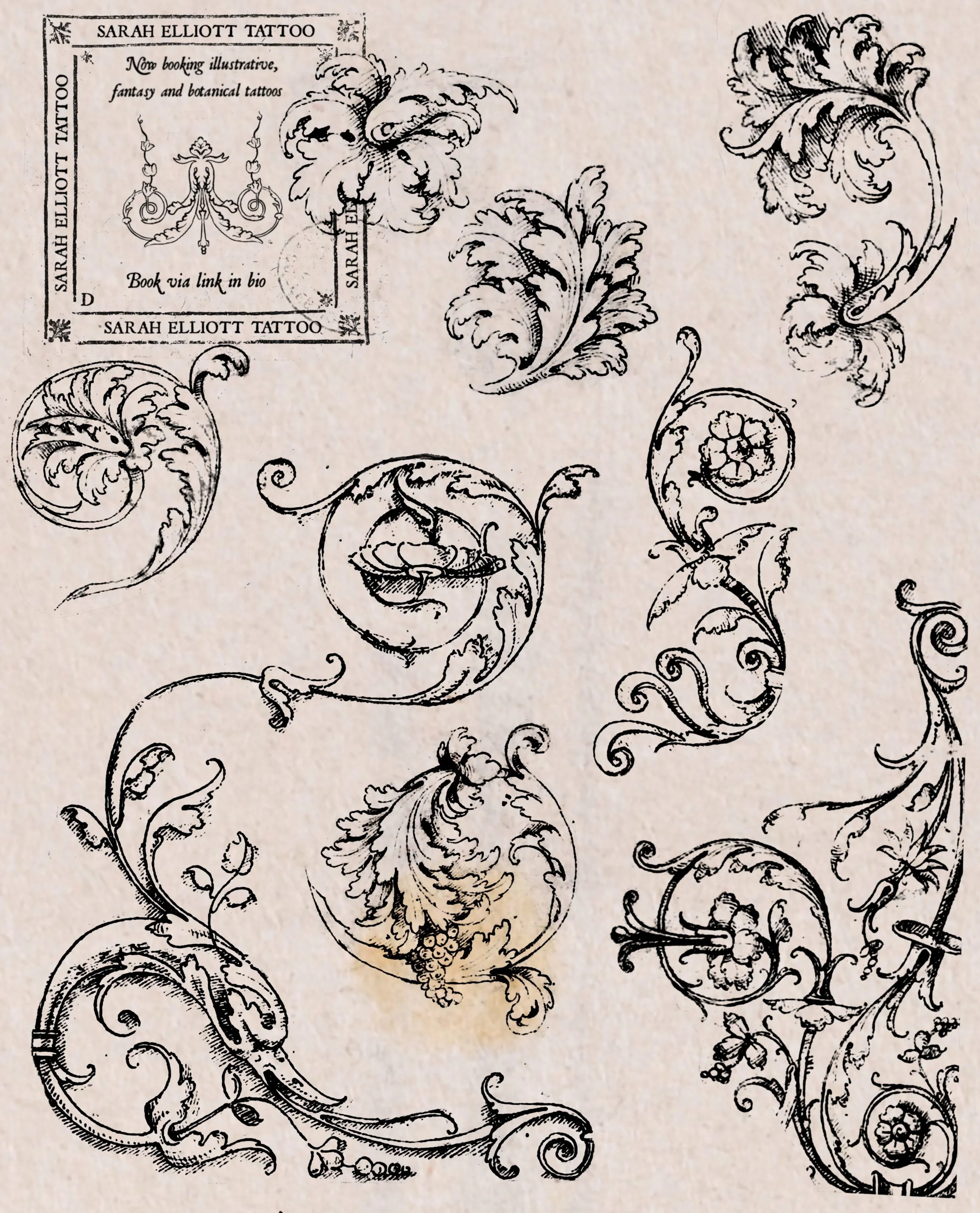 New dates added for small to medium ornamental and botanical tattoos this month! 

A new pricing structure also means simpler pieces are now more affordable.

Limited bookings available.
Book in via the link in my bio.