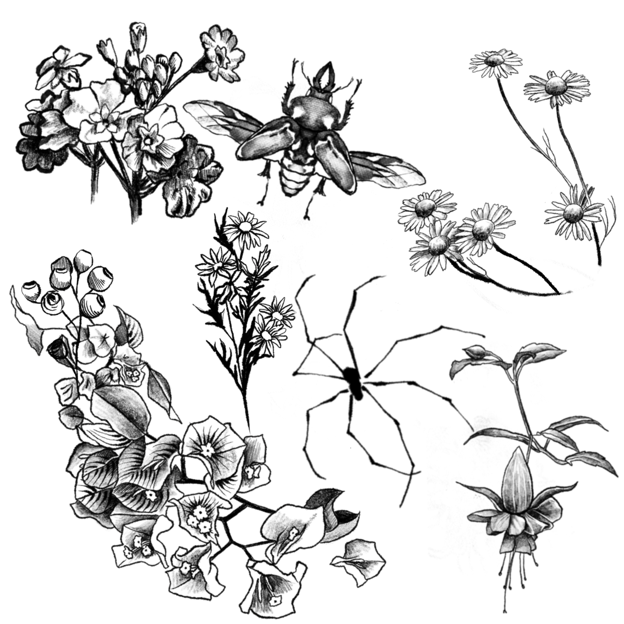 IMG_7162.PNG