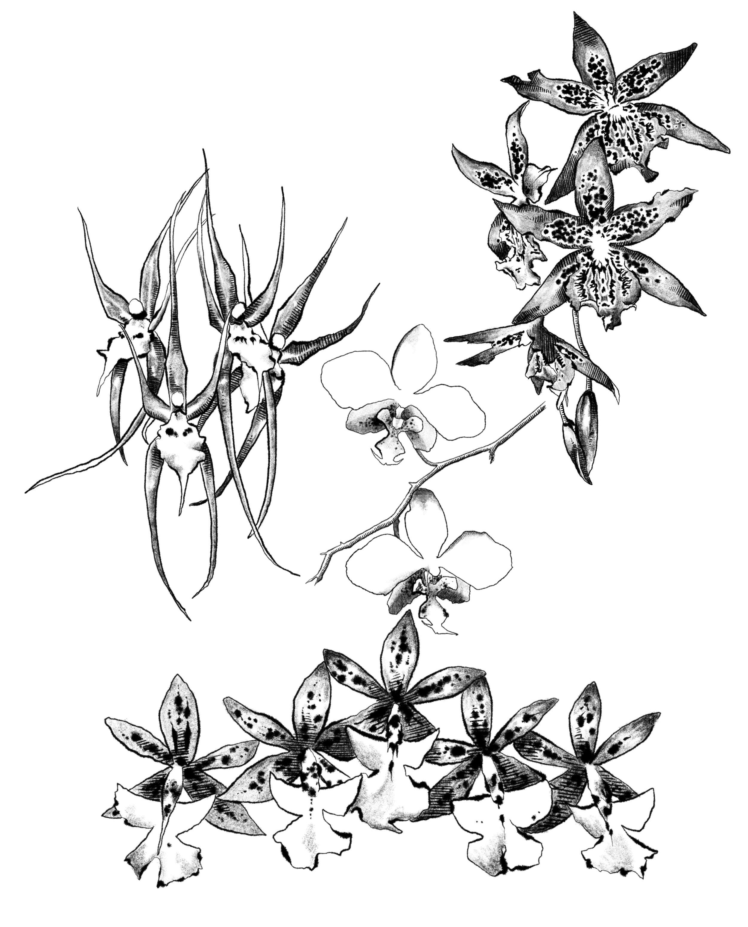 IMG_7655.PNG