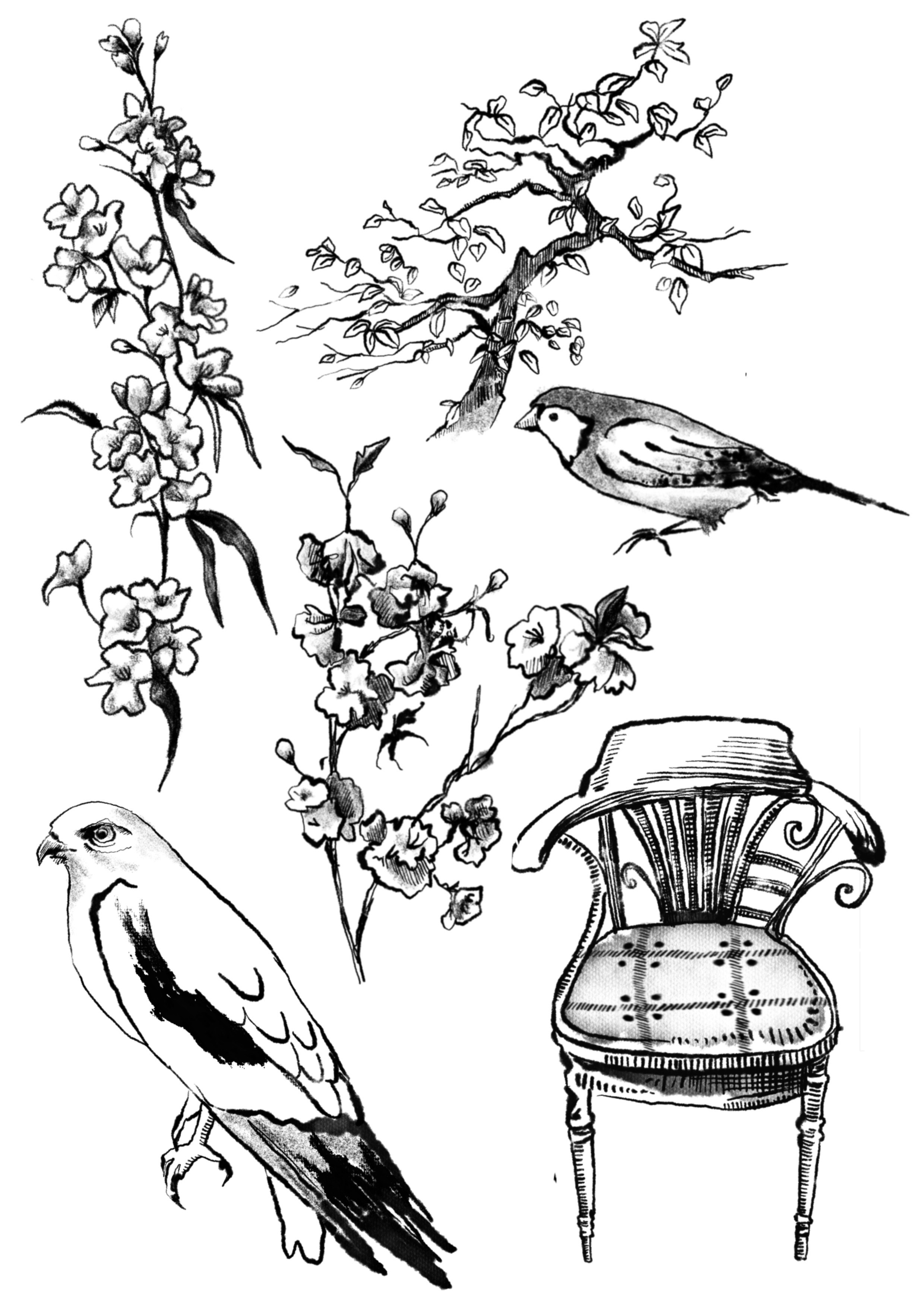 IMG_7152.PNG