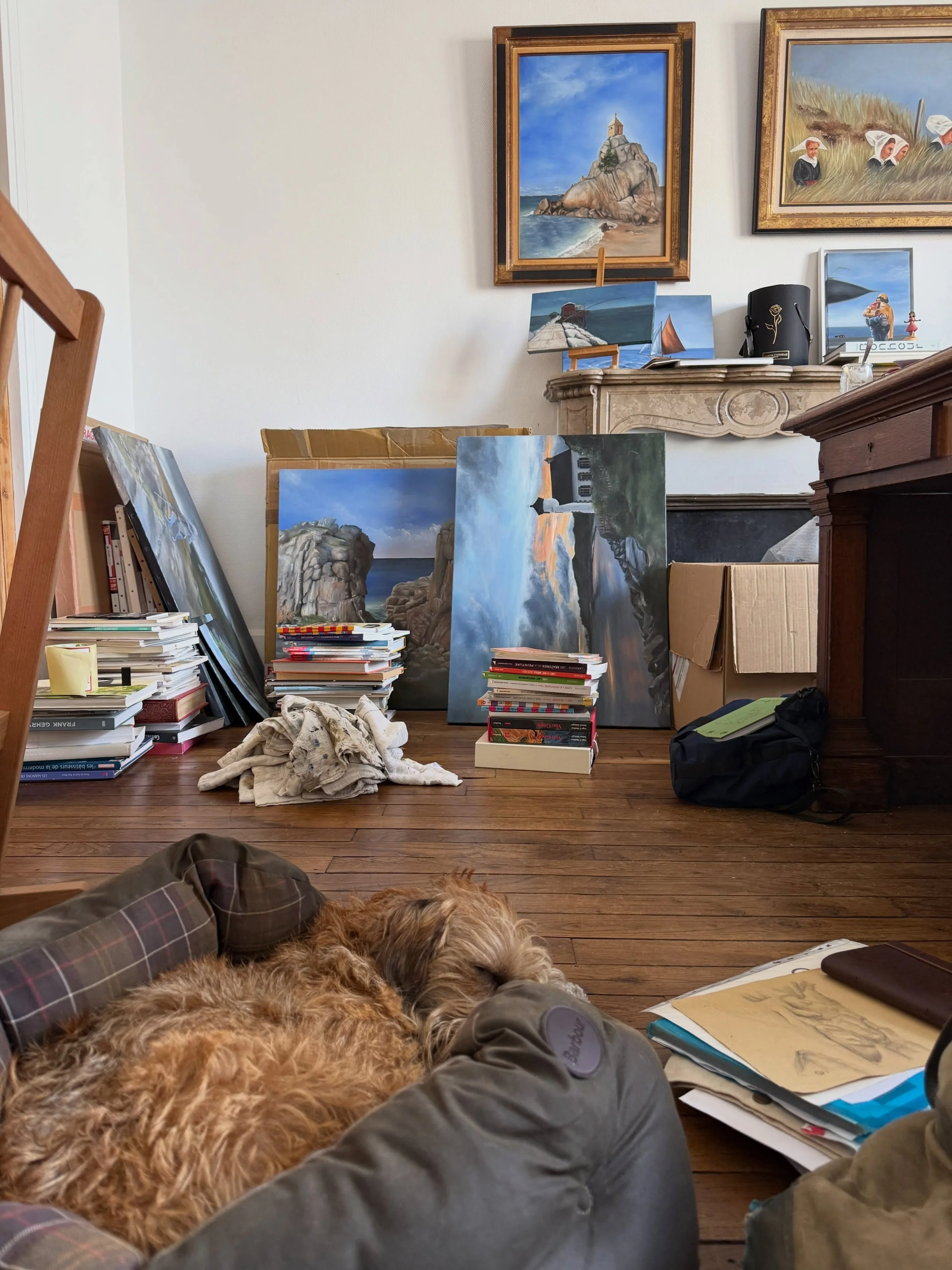 My new studio in Saint-Malo is still finding its shape: books stacked on the floor, canvases leaning against the fireplace, boxes waiting to be unpacked and Ars&egrave;ne has already claimed his place. 

#frenchartist #pleinairpainter #artiststudio #