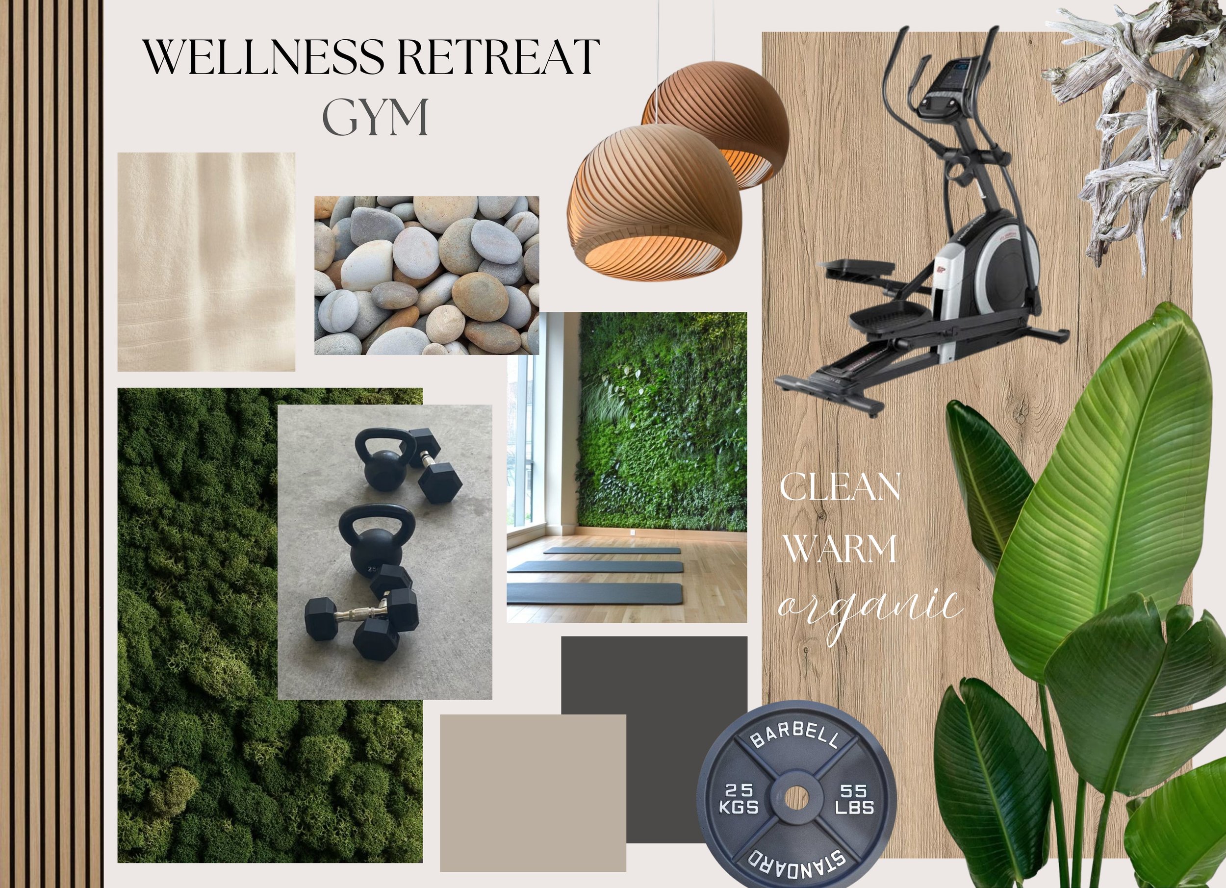 Wellness Gym.jpg