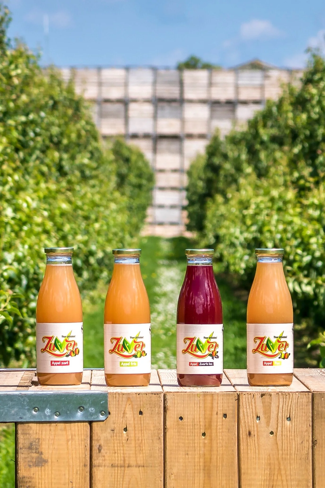 Naar Zuver Fruitsappen