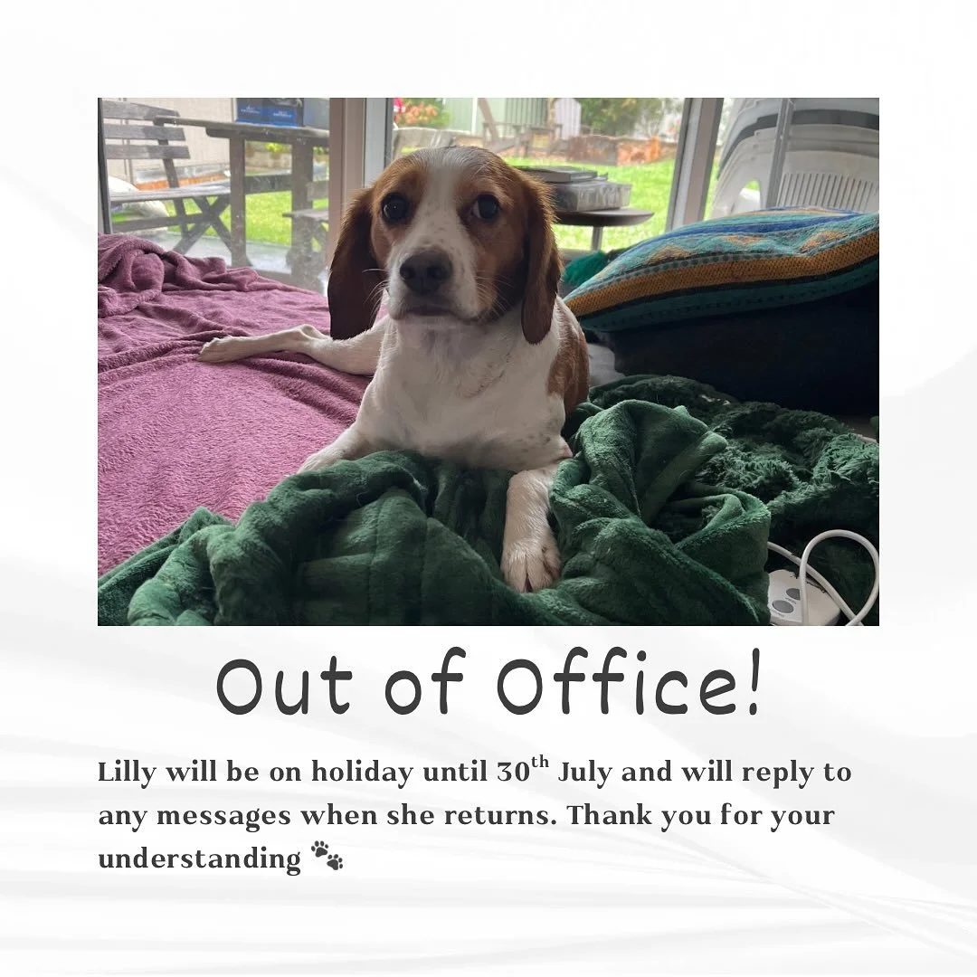 We’re off on holiday and will be back servicing as usual on 30th July. Please send any enquiries via the contact form on our website or directly to winnie.petcare@gmail.com, and we will reply when we return 🐾